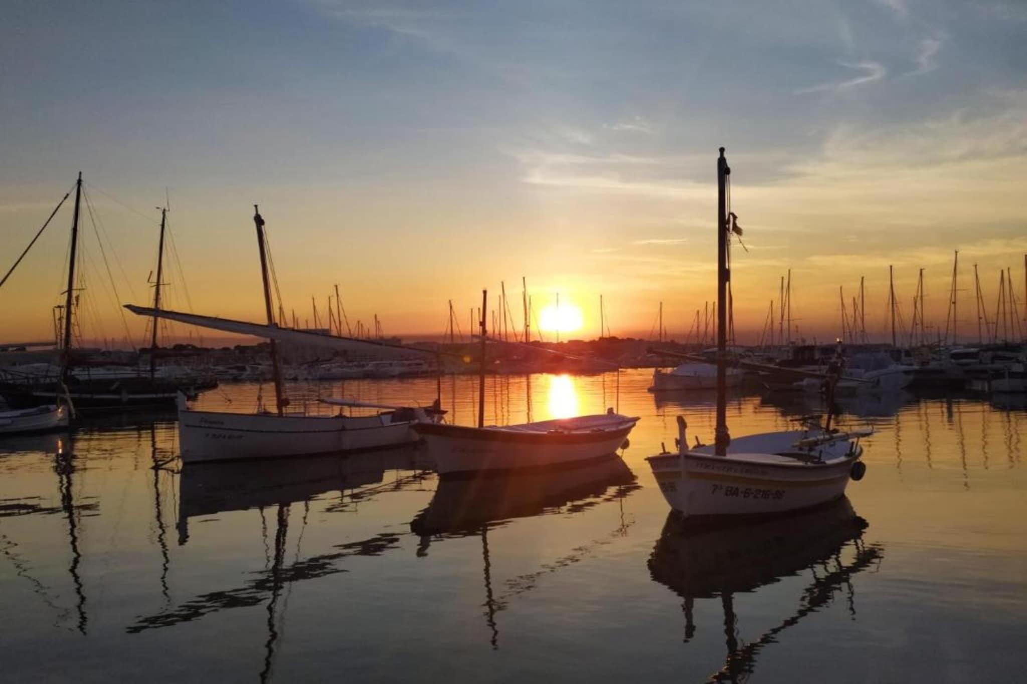 CALA MONTGO 15 AC-Gebieden zomer 20km