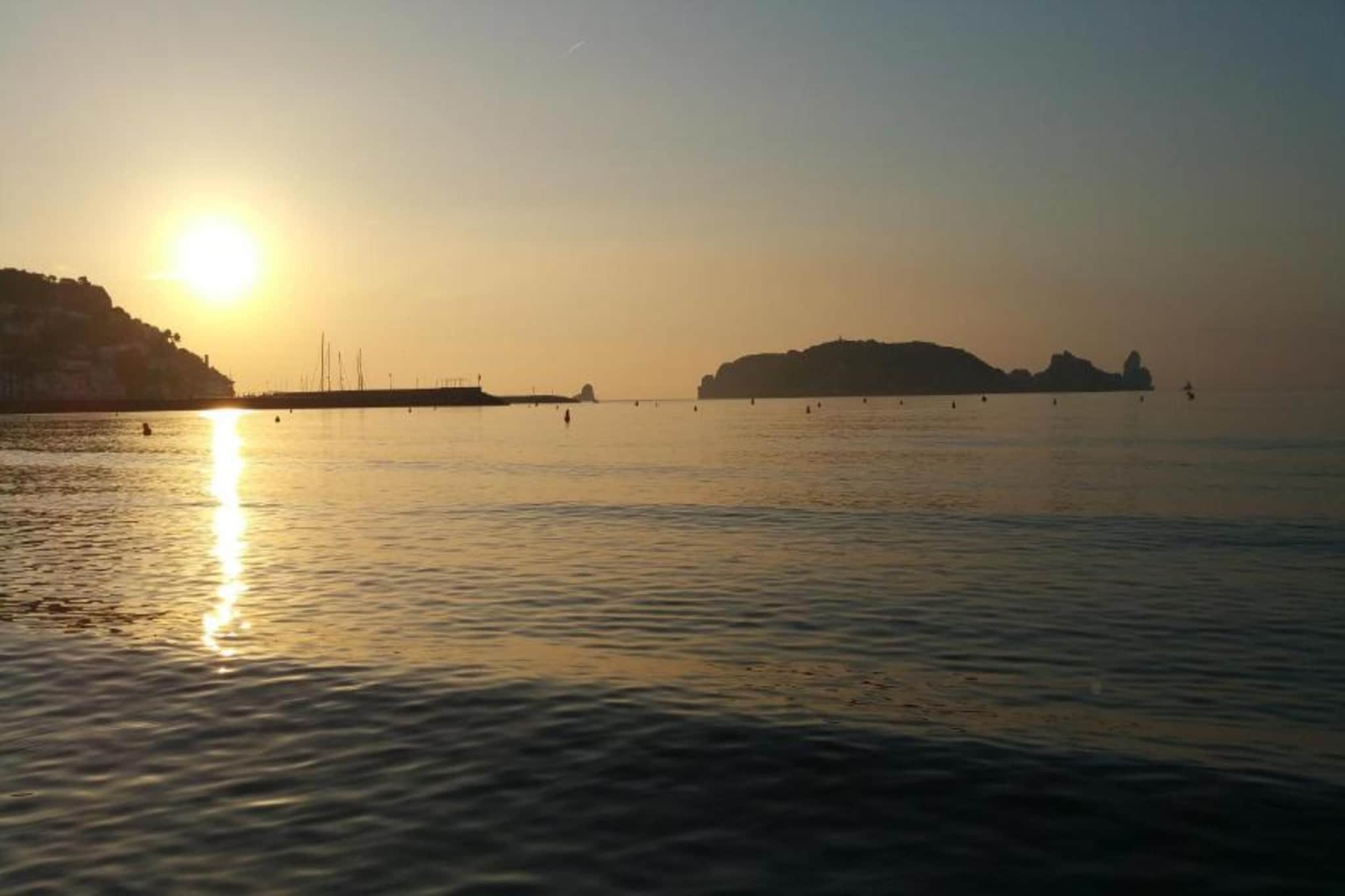 MEDES PARK I 2-7-Gebieden zomer 1km
