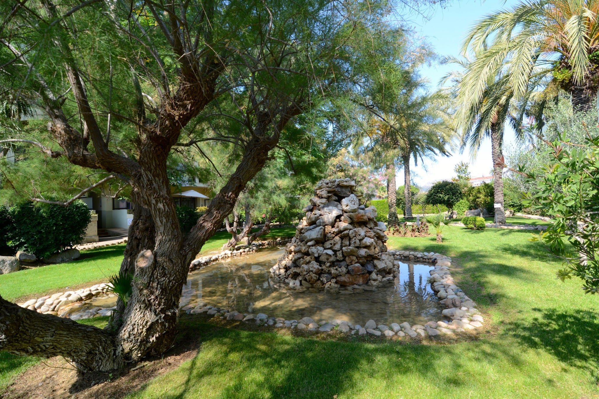 JADEMAR DEL MAR 012-A-Gardens summer