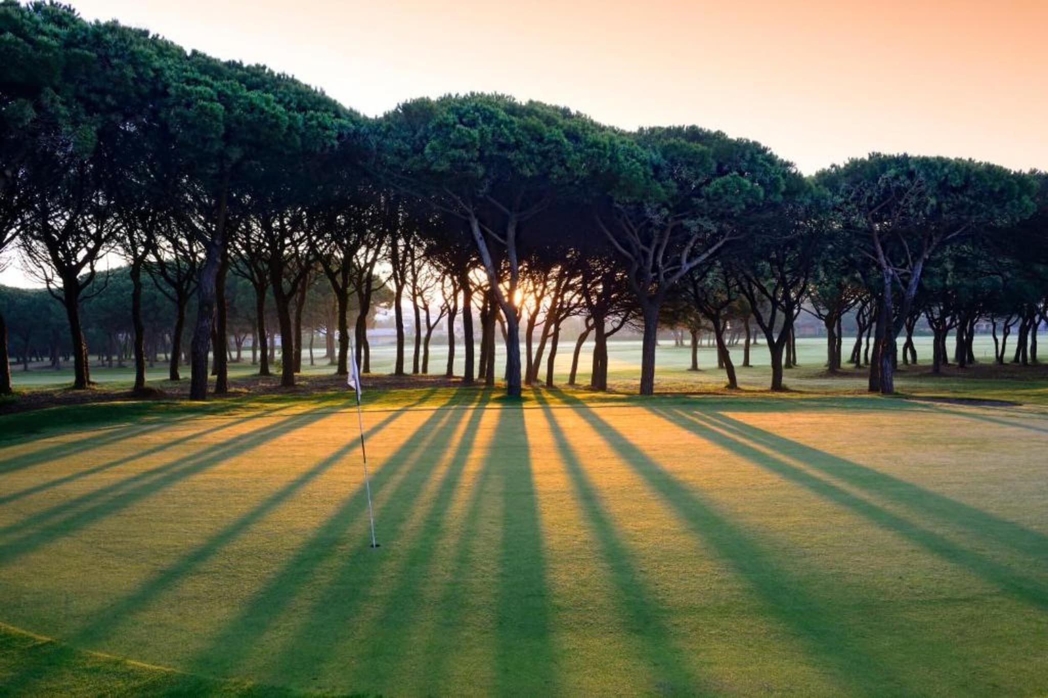 PIVERD GOLF 74-Gebieden zomer 20km