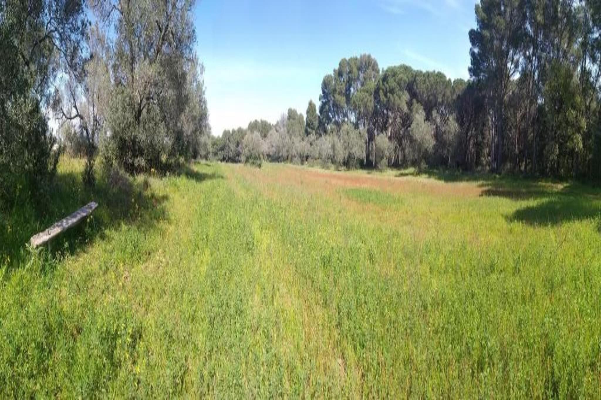 PLAÇA DELS POUS 14-Gebieden zomer 1km