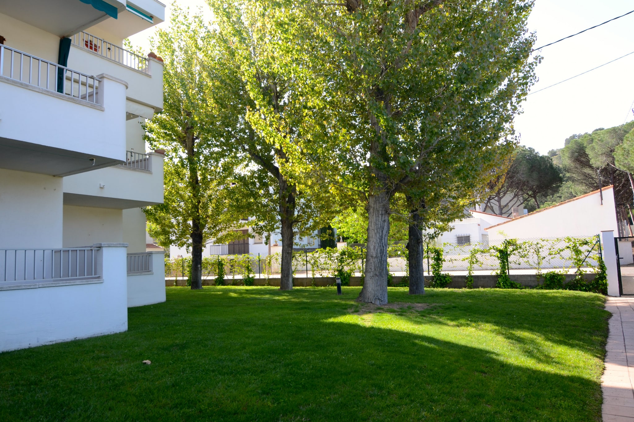 CALA MONTGO 25
