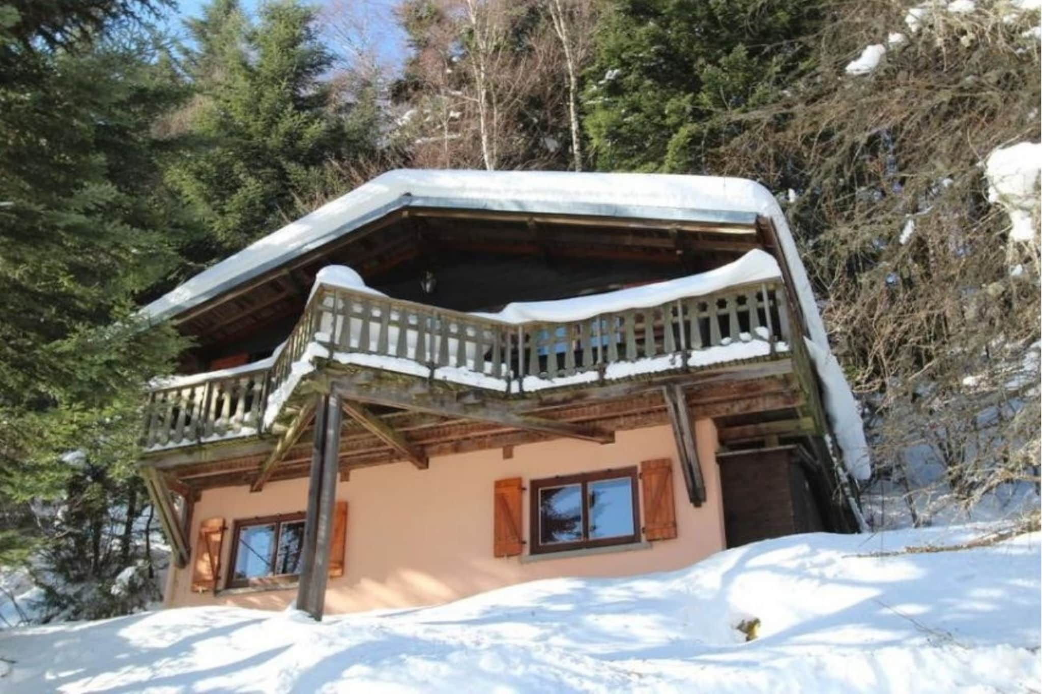 LE TRAPPEUR  Chalet en bois vue montagne