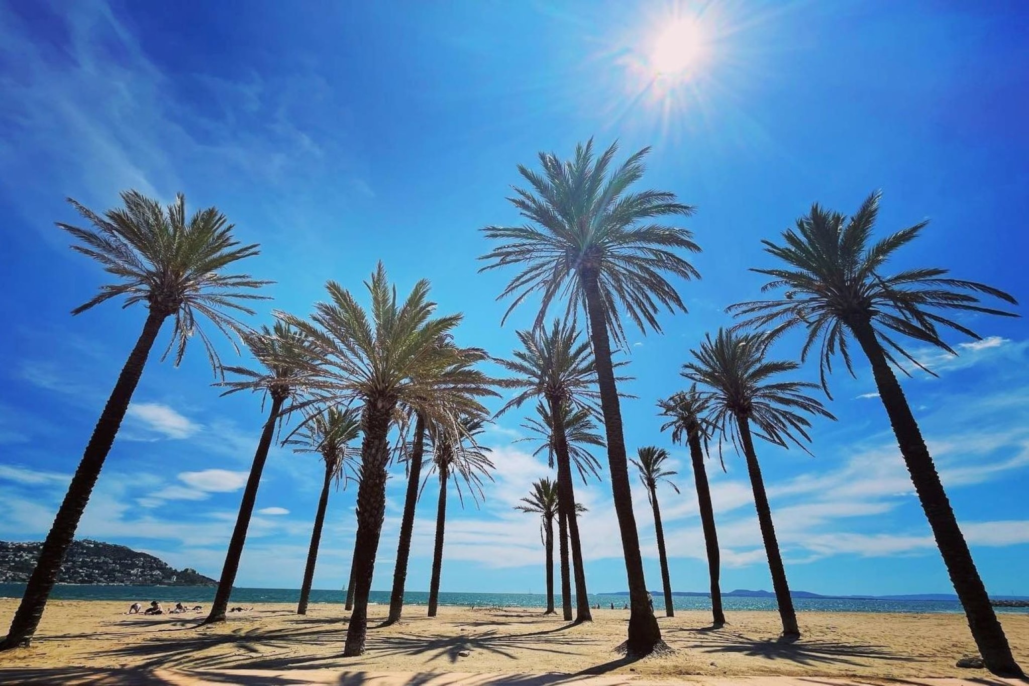 GRAN RESERVA FLORES 4 1 66 Empuriabrava- Barneda-Gebiete Sommer 5 km