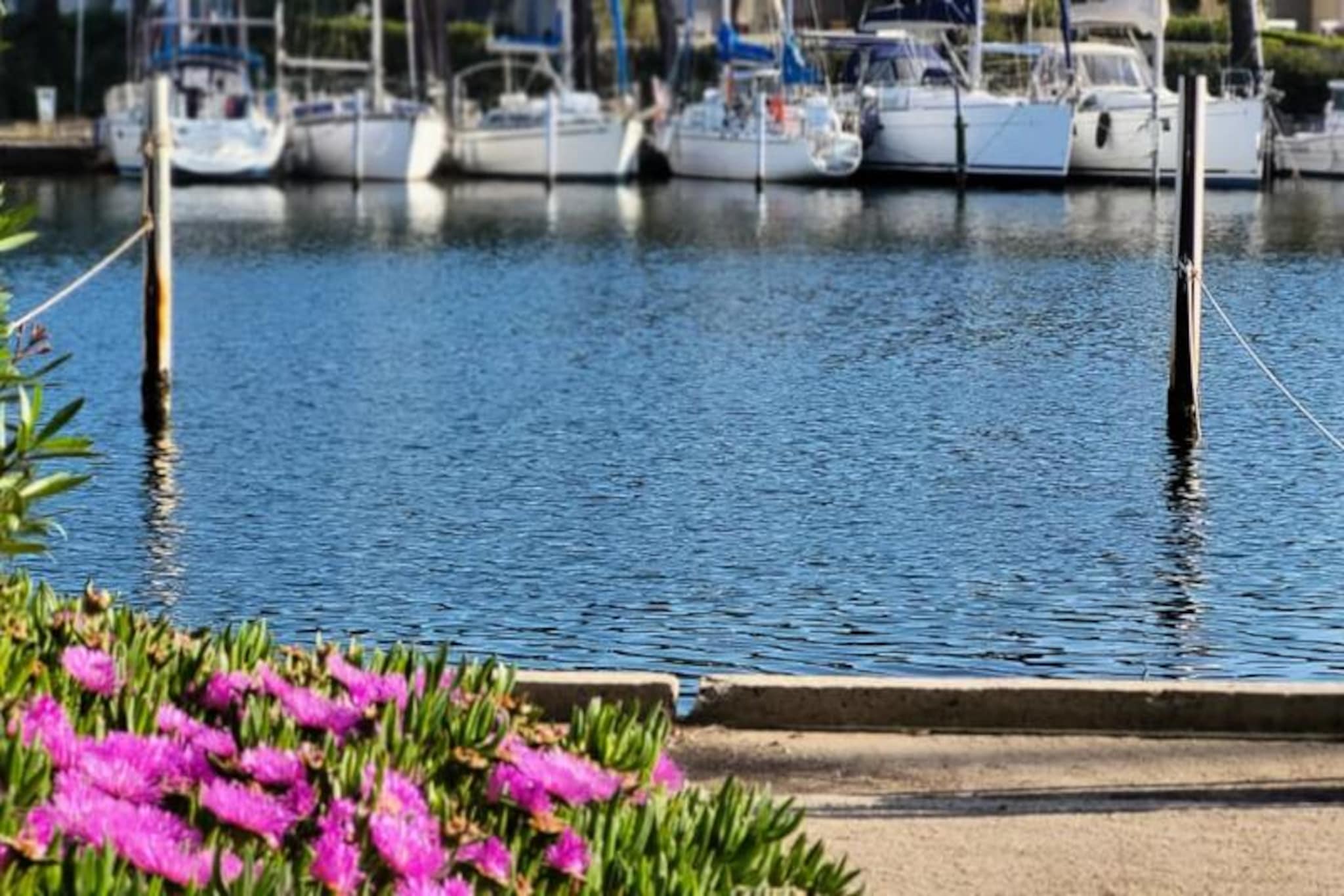 Résidence Marina Lairan Vue Sur L'eau Et Les Bateaux De Port Camargue 2 étoiles F-Image-tags.