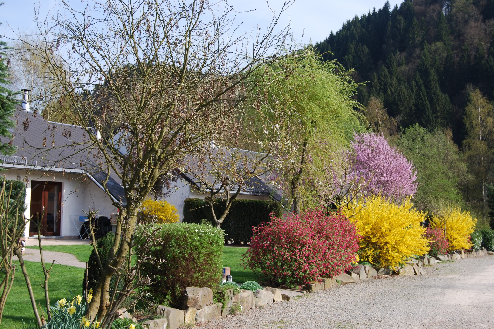 Vakantiehuis Malmedy max. 10 personen 4 slaapkamers #3