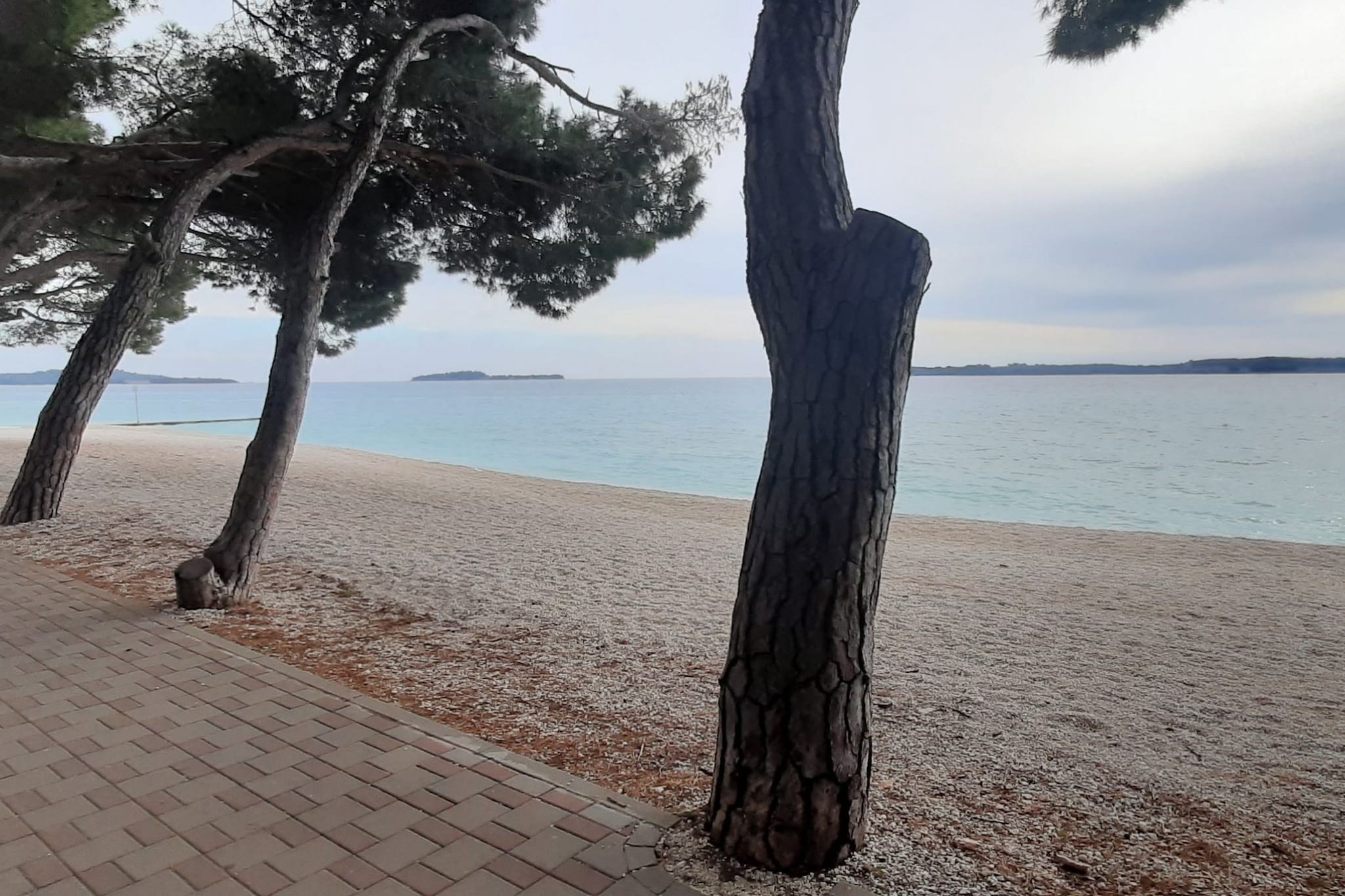 Modern and Bright Fazana Apartment with Balcony and Sea View - One Bedroom Apartment with Balcony and Sea View-Sfeer
