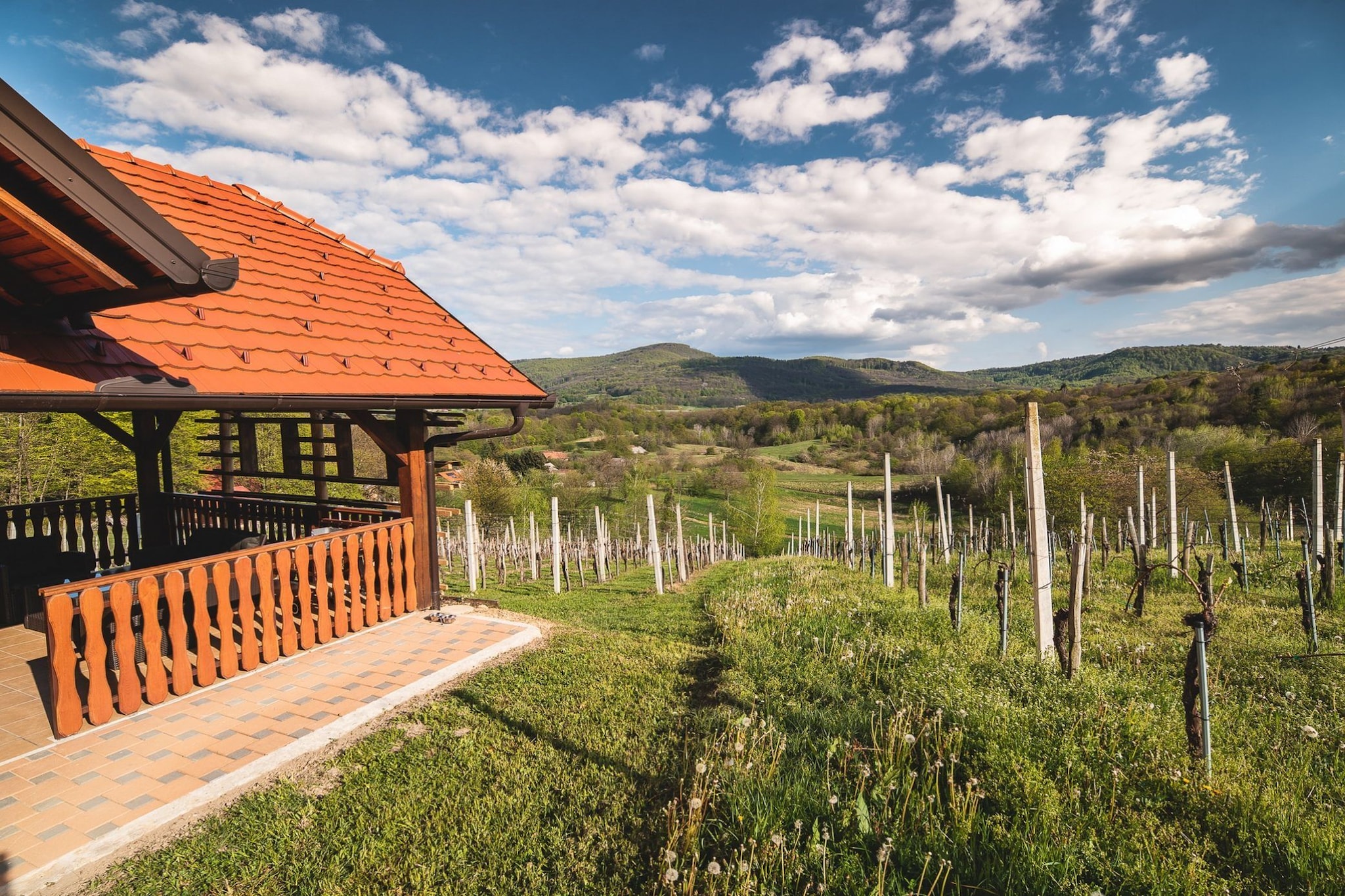 Golden Horizon Holiday Home with Terrace and Garden - One Bedroom Holiday Home with Terrace and Garden-Buitenlucht