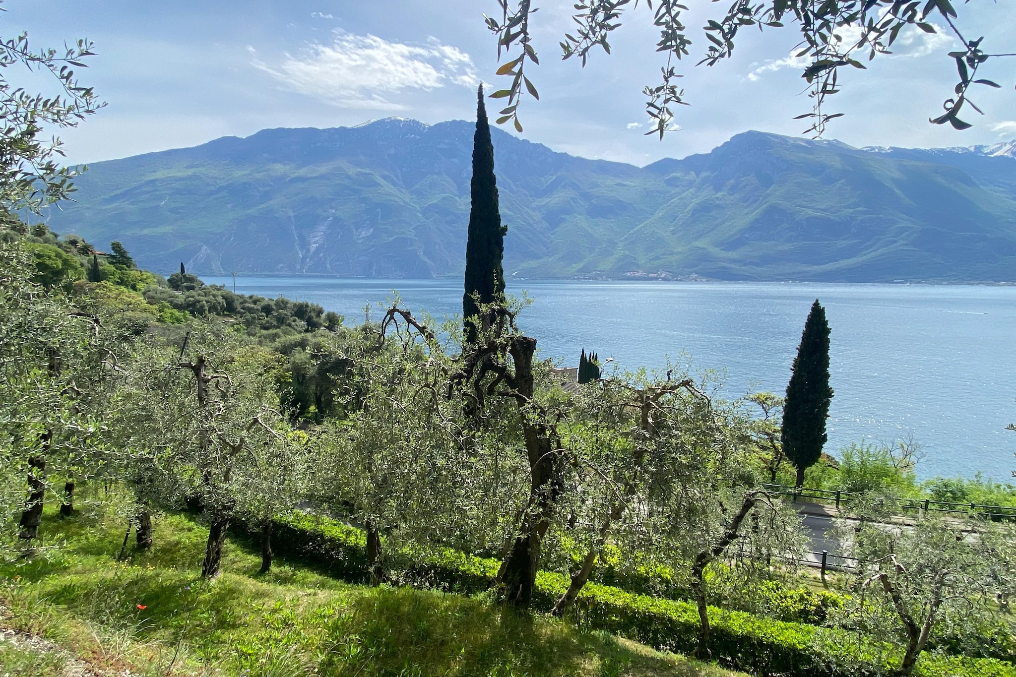 Residence Villa Gianna Limone sul Garda - Bilo 3 - Buitenkant zomer