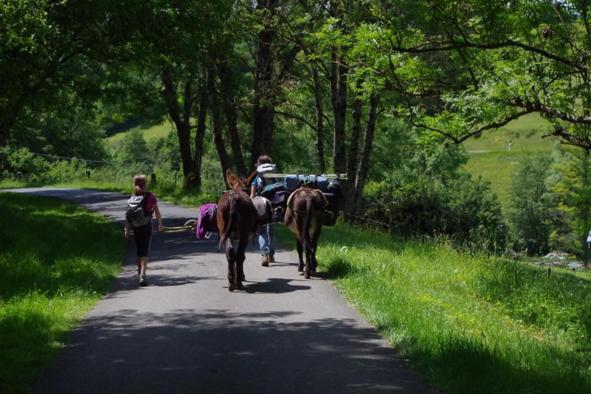 Dreamer 49-Gebiete Sommer 20 km