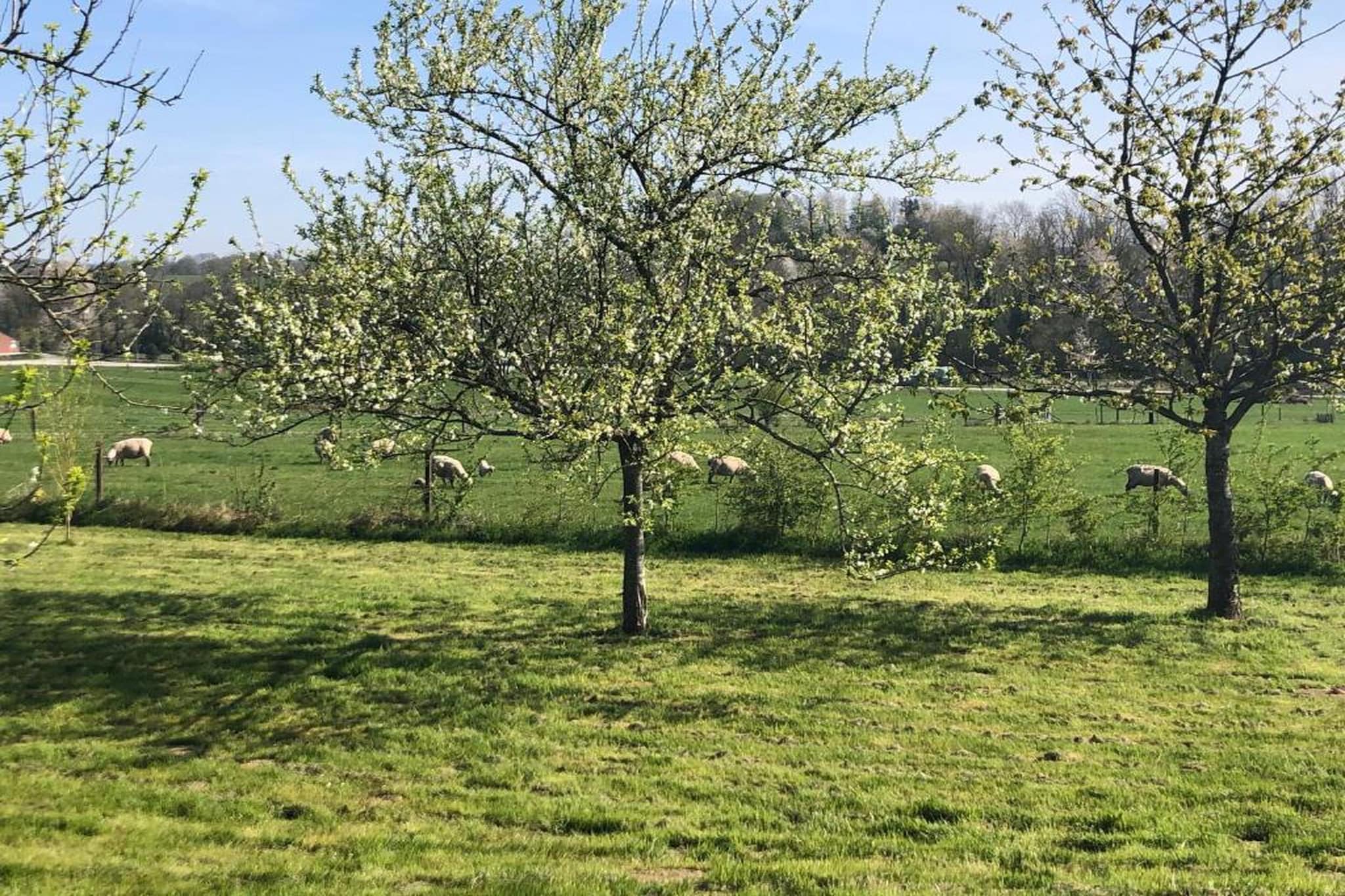 Holiday home for 8 peoples-Gebieden zomer 20km