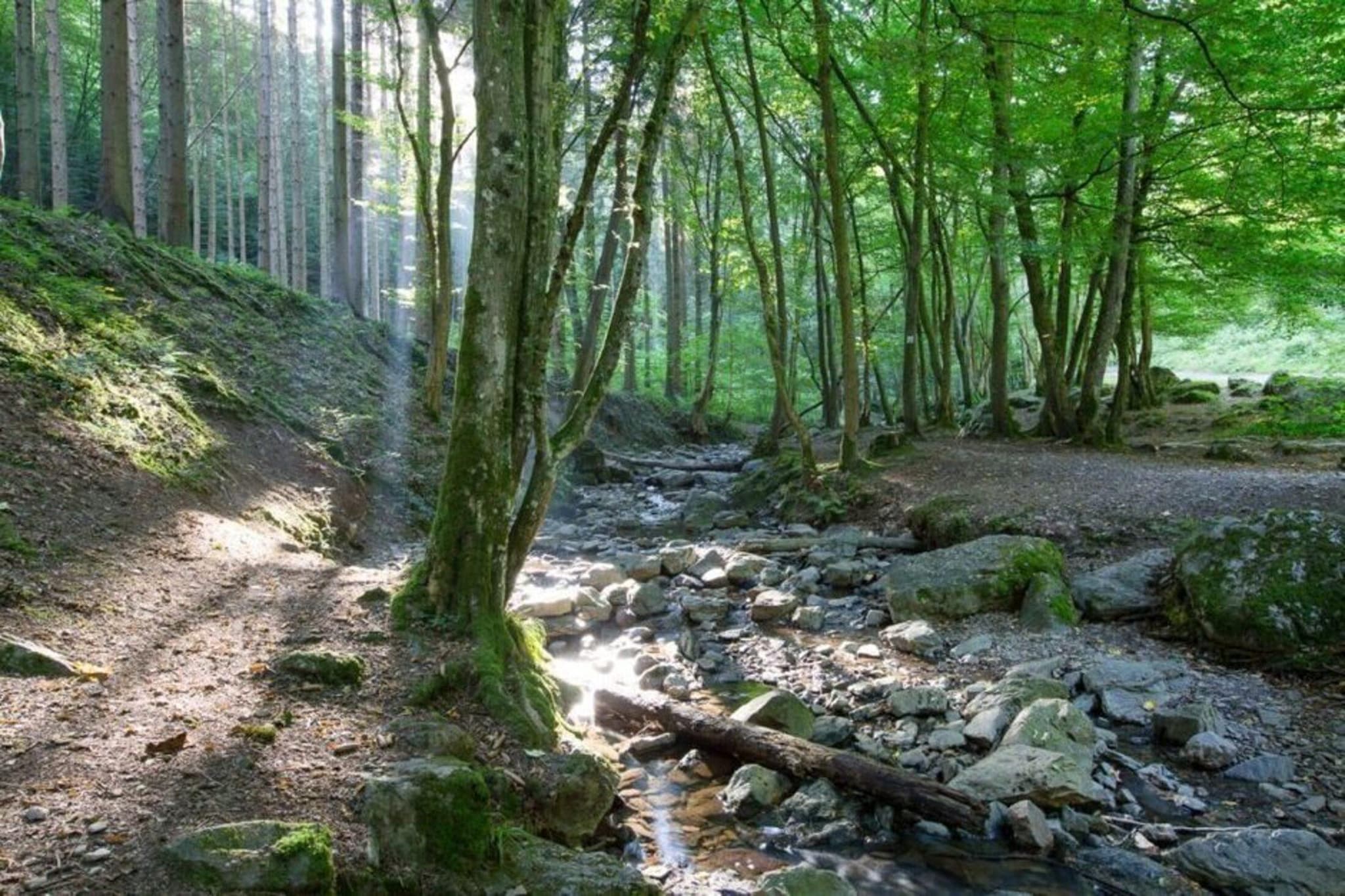 Gîte "Infirmerie"-Gebieden zomer 5km