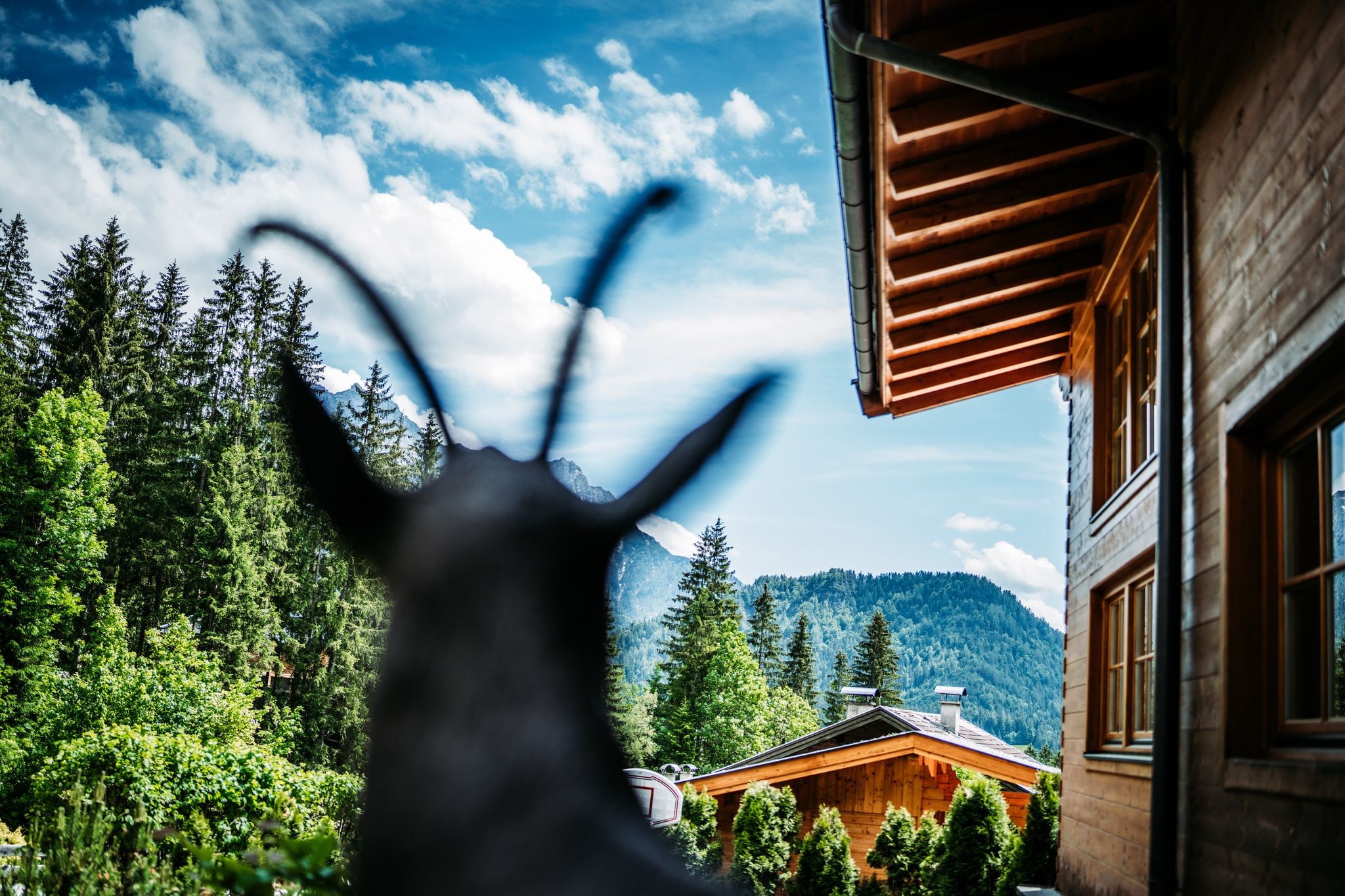 Chalet Gamsglück in Waidring-Nicht getaggt