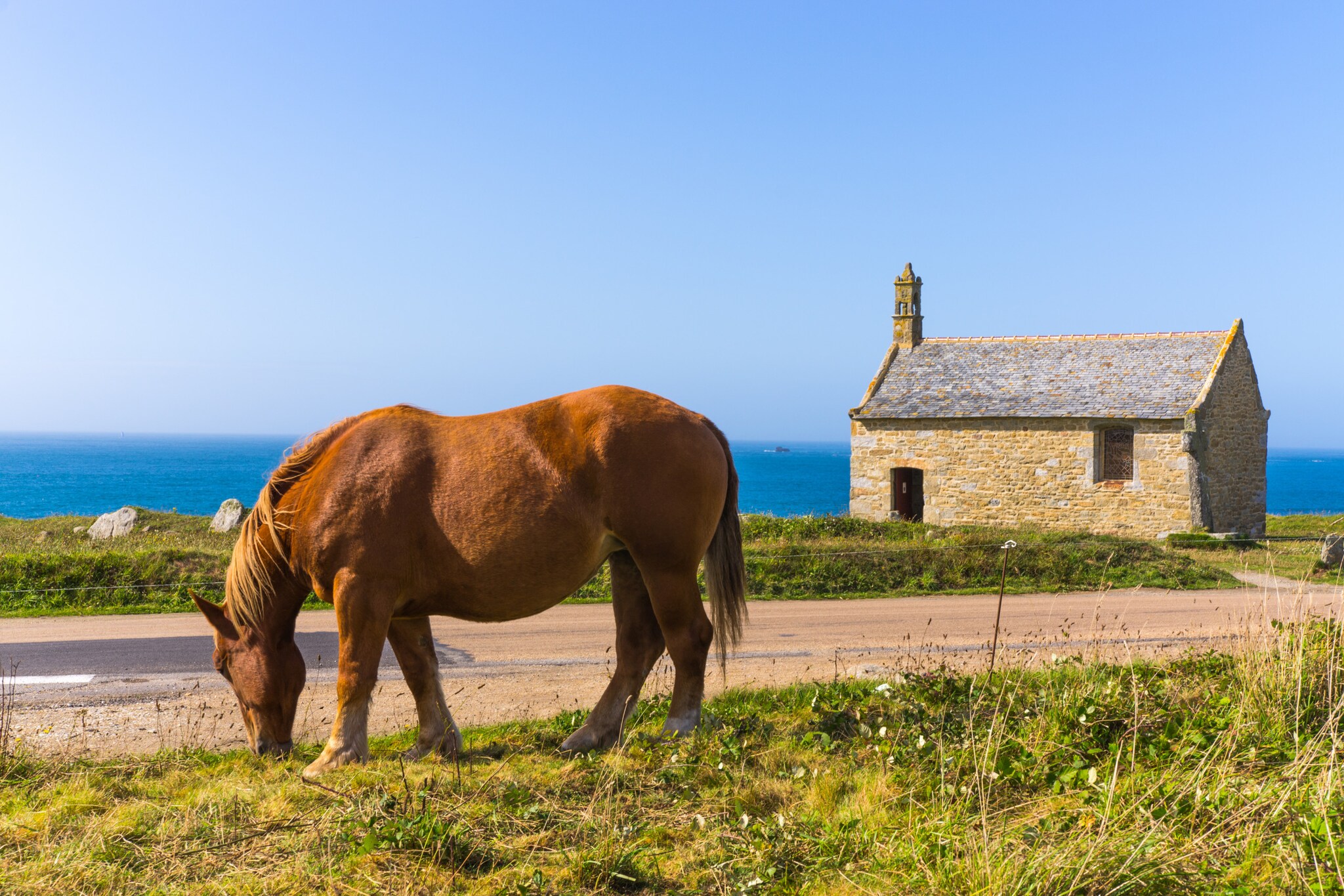 ILE CEZON - Landéda-Image-tags.