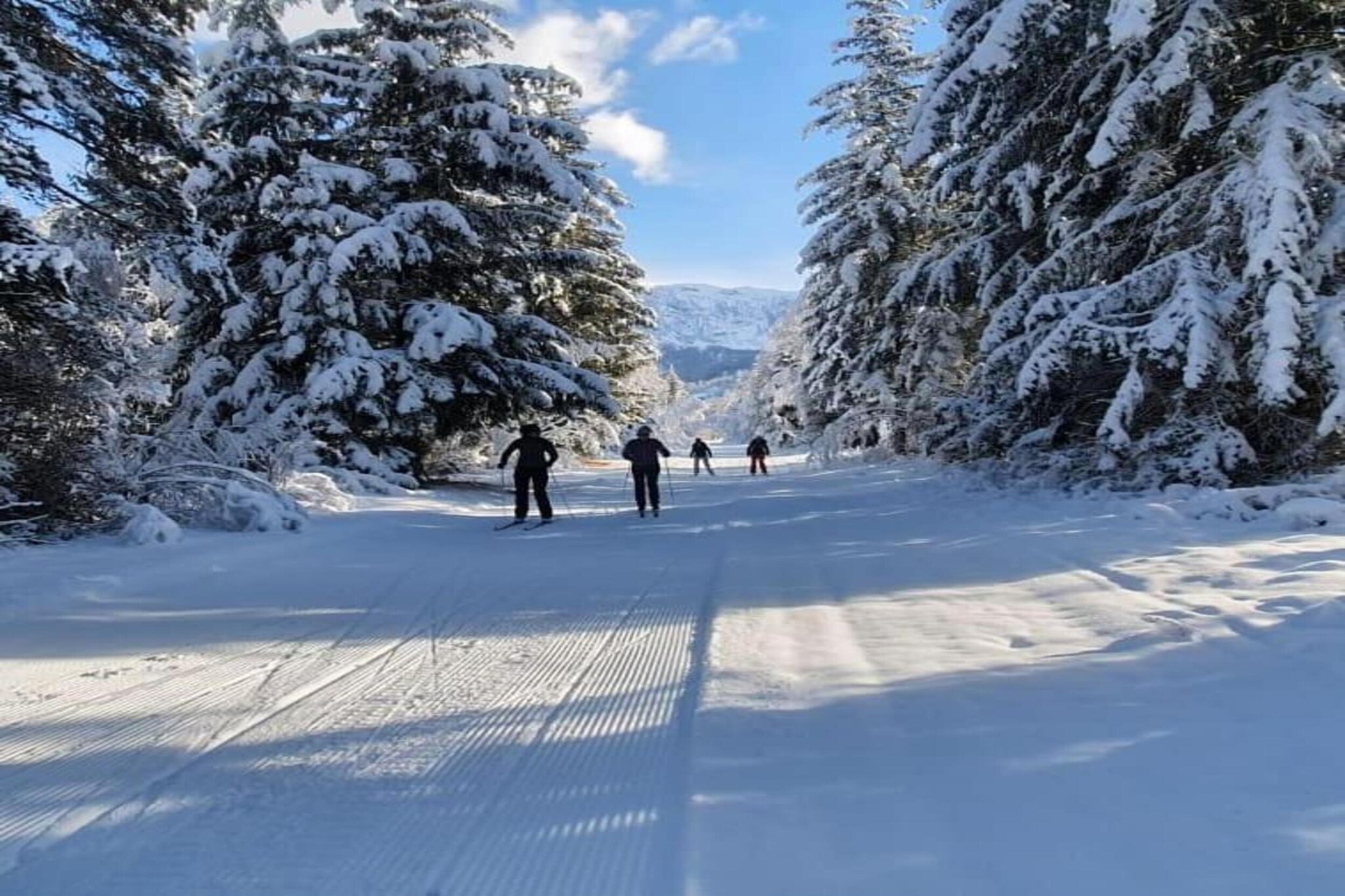 T.Bergerie B N°304 - 2P4-Gebied winter 20km