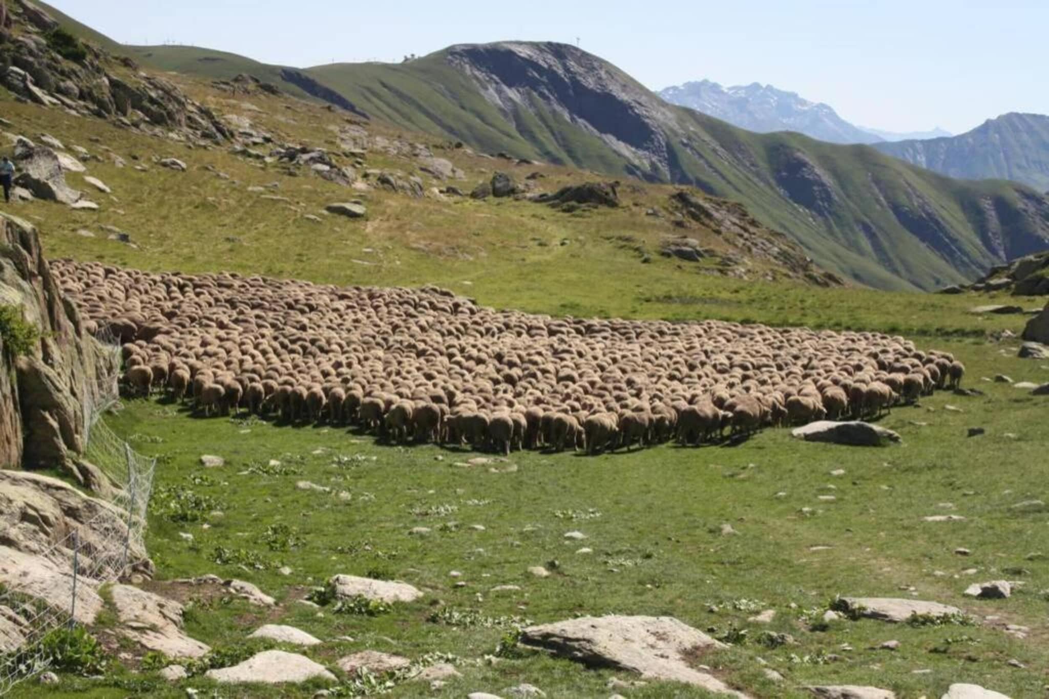 Les Marmottes N°38 - 2P4-Gebieden zomer 20km