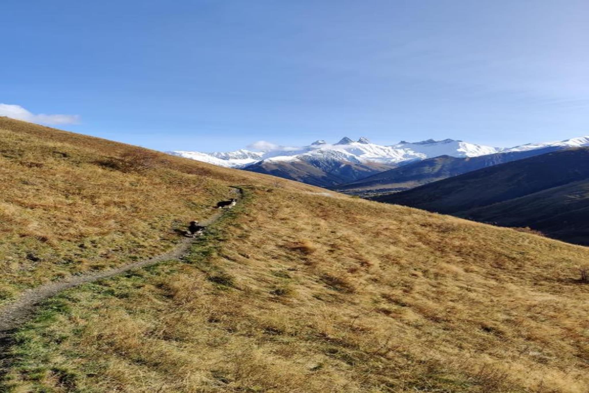Les Chamois N°15 - 3P6-Gebieden zomer 20km
