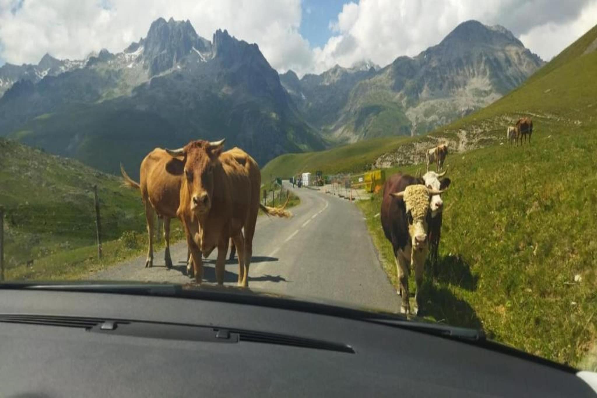 Les Grizzlis N°28 - 2P4C-Gebieden zomer 20km
