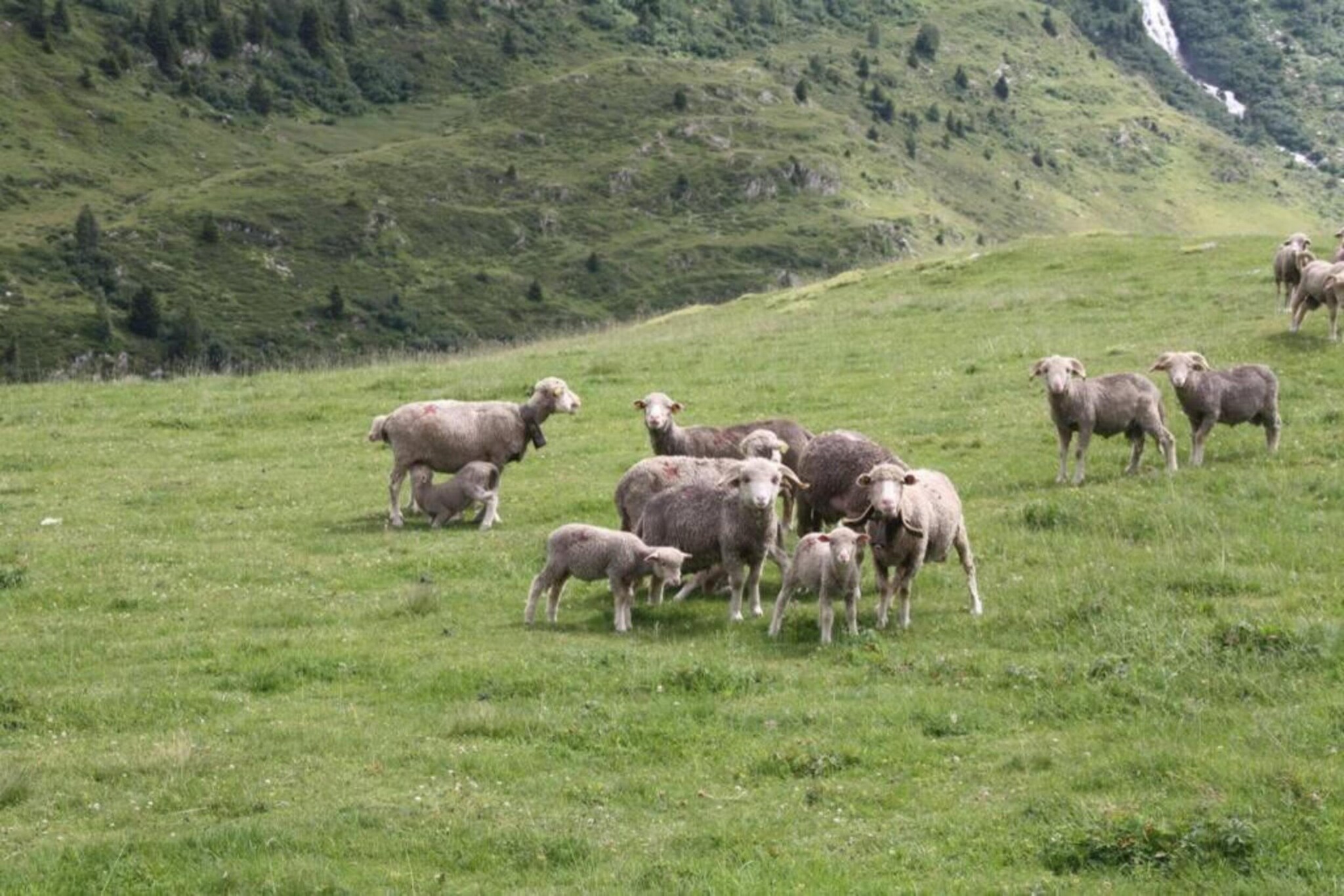 Les Marmottes N°40 - 3P5-Gebieden zomer 20km