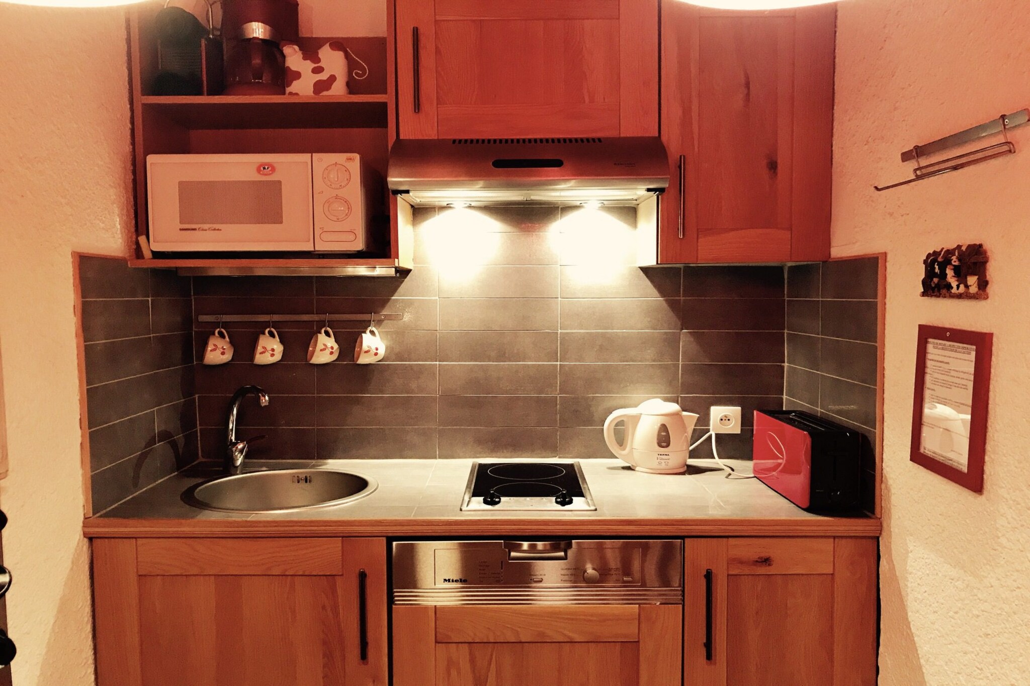 Elevator, Living room(double sofa bed, bunk bed, TV), Kitchen(coffee machine, oven, microwave, dishwasher, fridge, dishes and cutlery), bathroom(bath tub), balcony