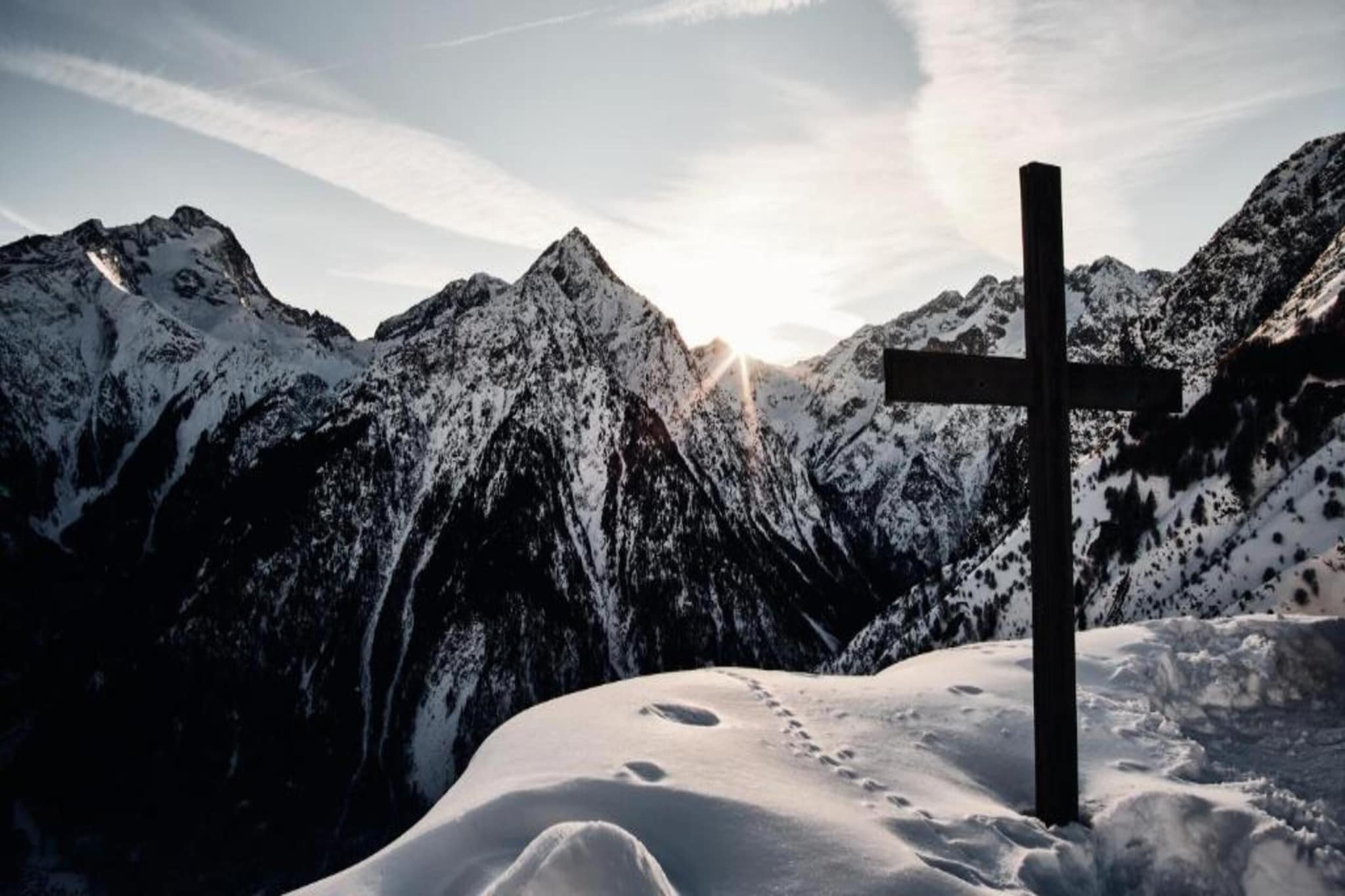 Myosotis B N°20 - 3P8-Gebied winter 20km
