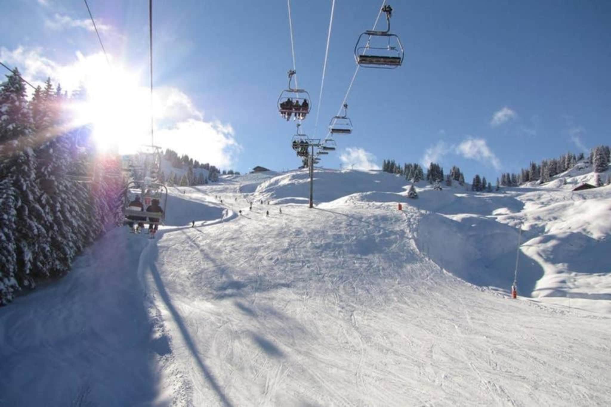 CHALET N°35 - 3P6-Gebied winter 1km