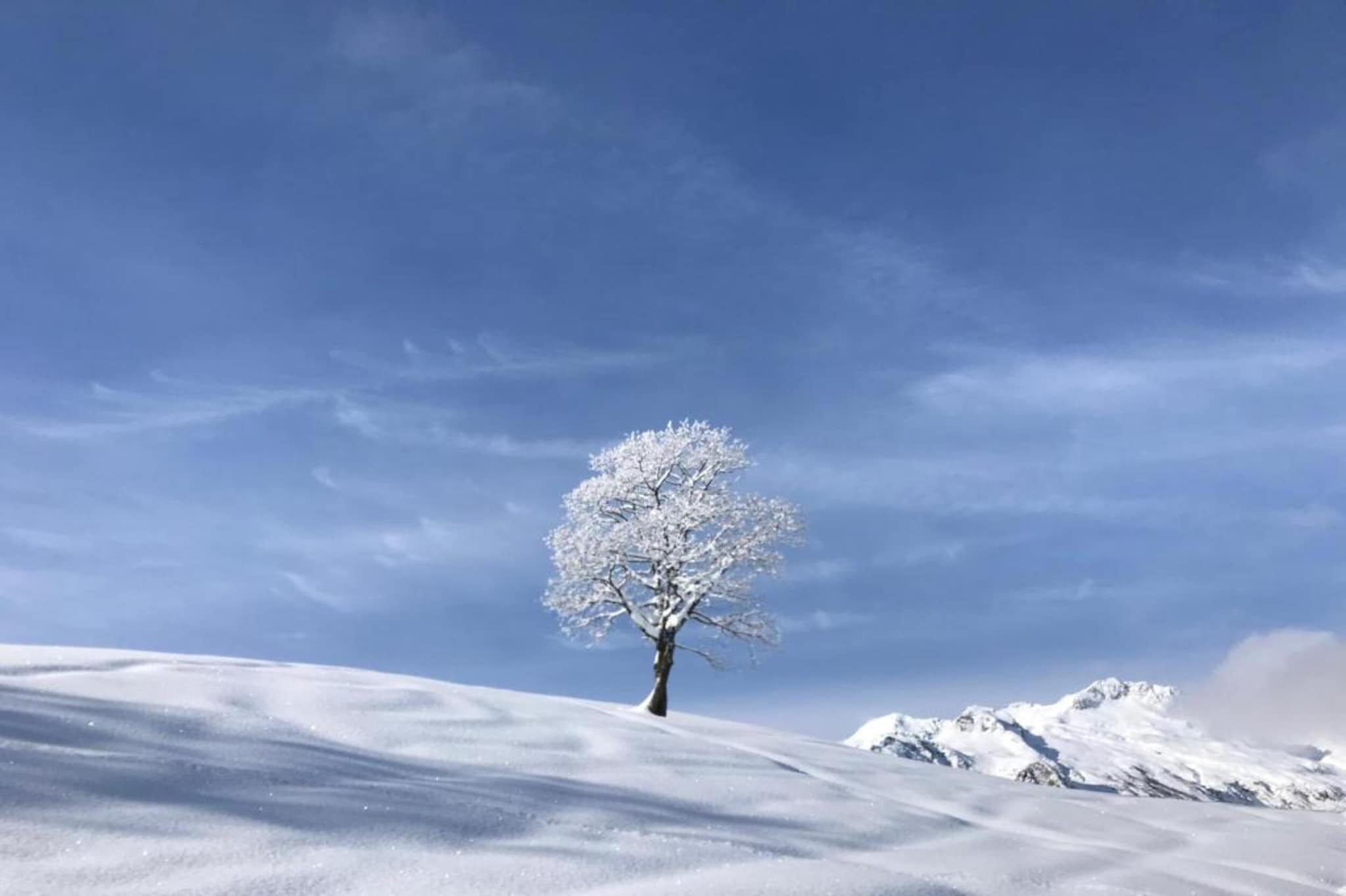 T du Morel A N°17 - 3P5-Gebied winter 20km