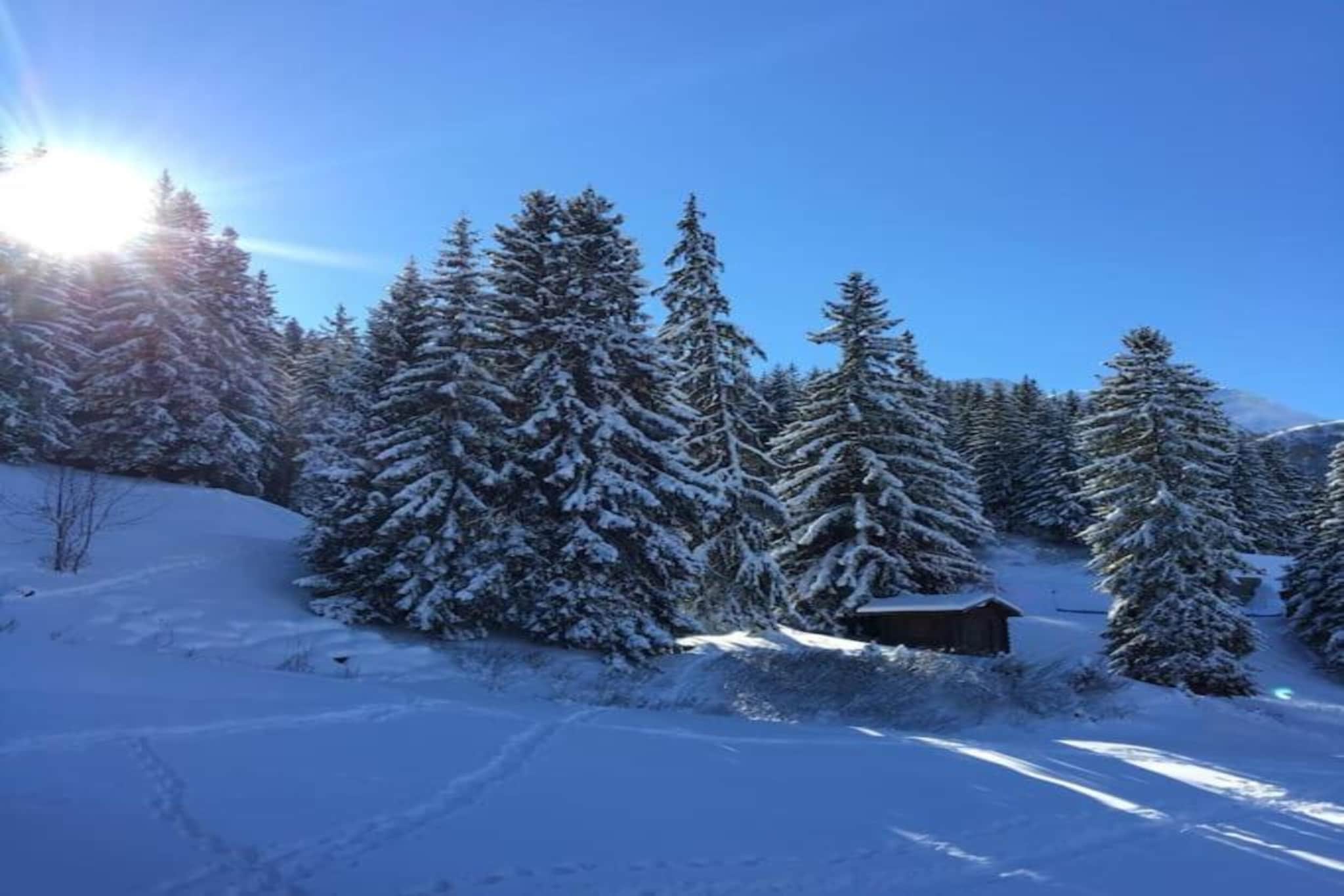 T du Morel A N°17 - 3P5-Gebied winter 20km