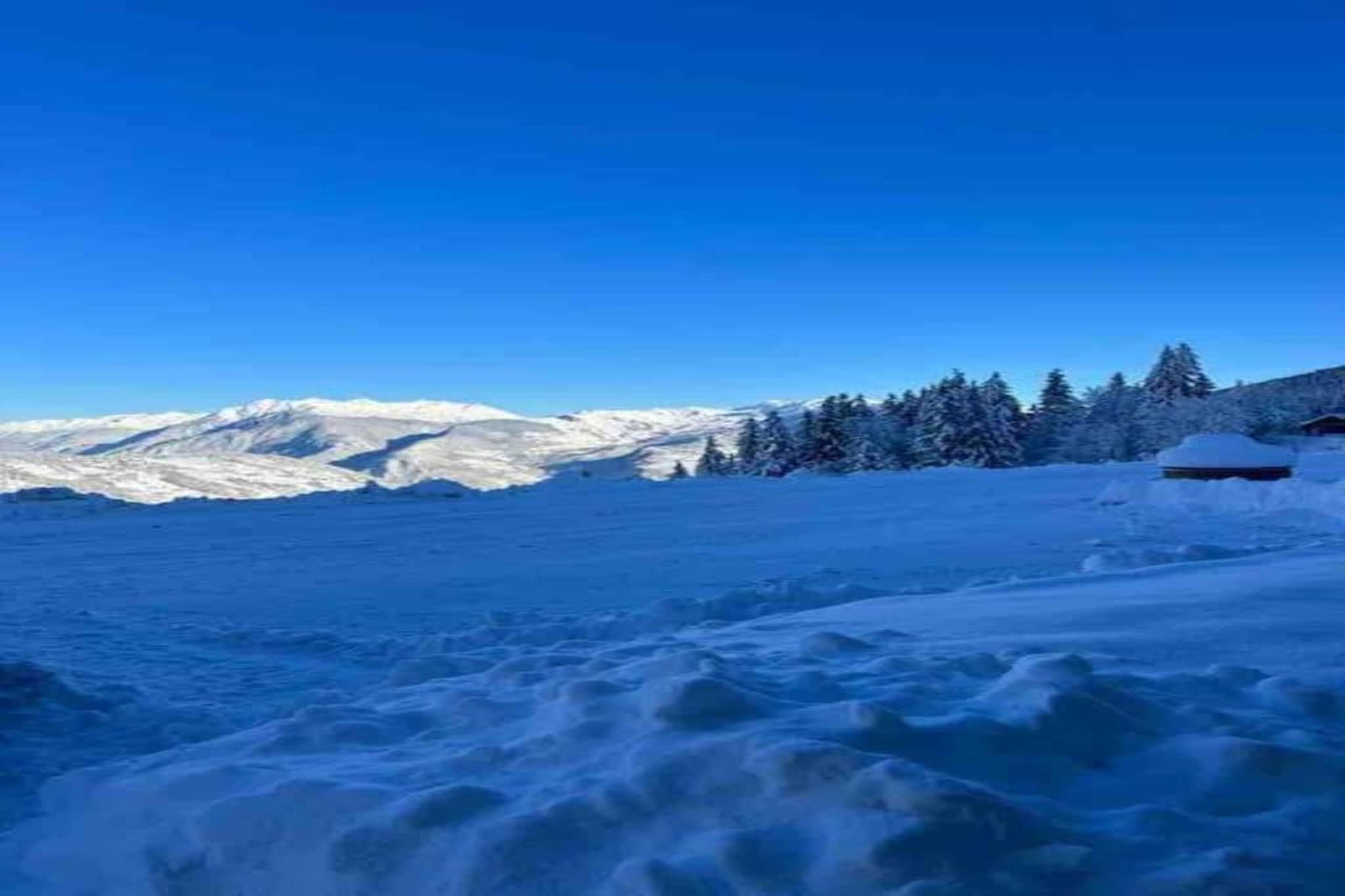 T du Morel A N°17 - 3P5-Gebied winter 20km