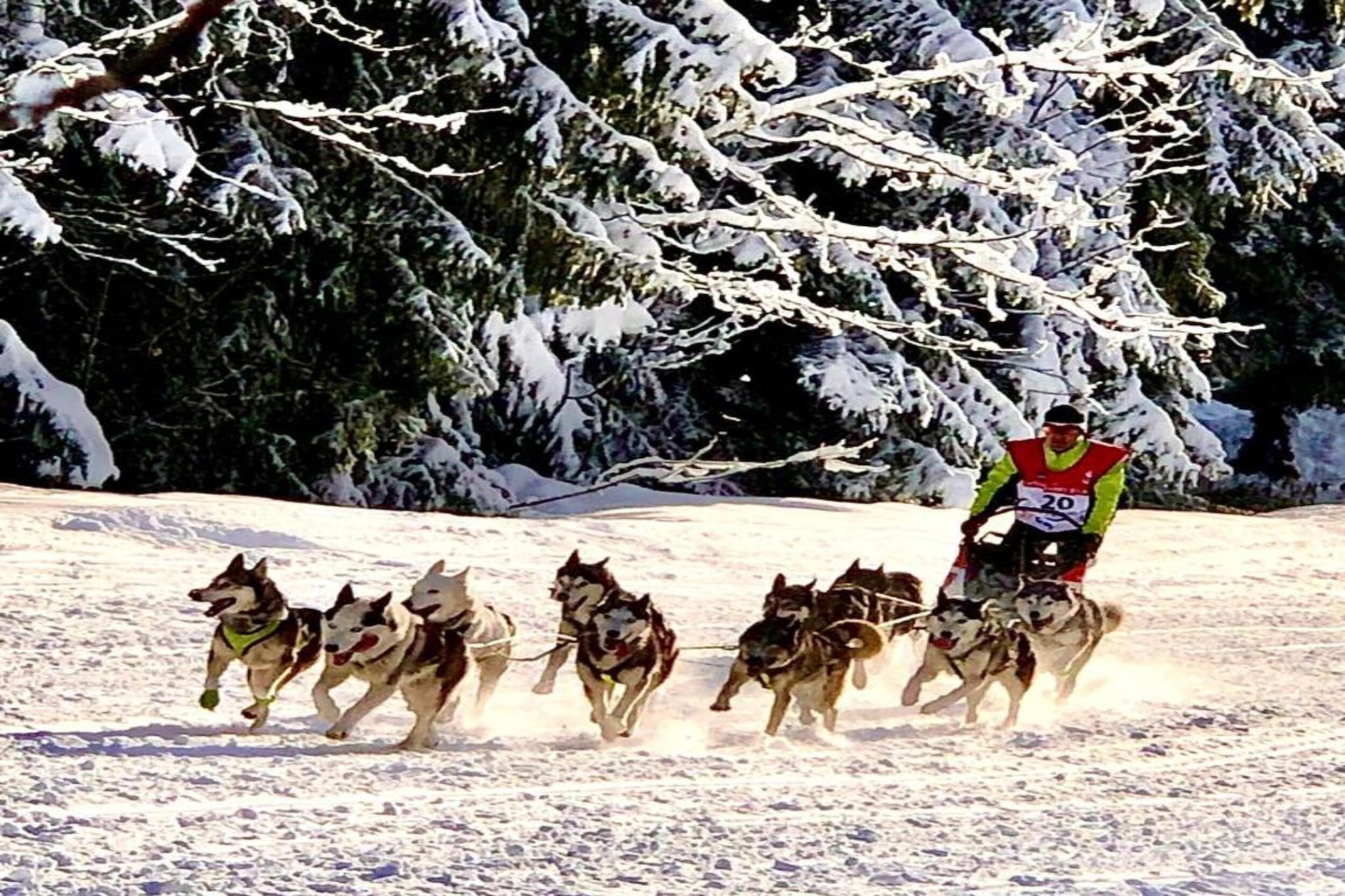 T. DU MOREL A N°25 - 2P5-Gebied winter 5km