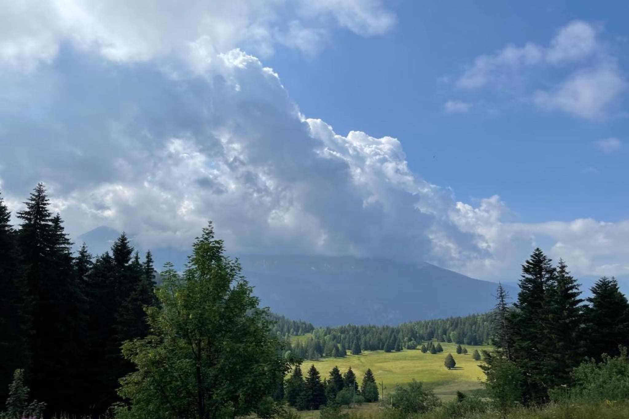V du Bachat Sorbiers E 33 - 3P6-Gebieden zomer 5km