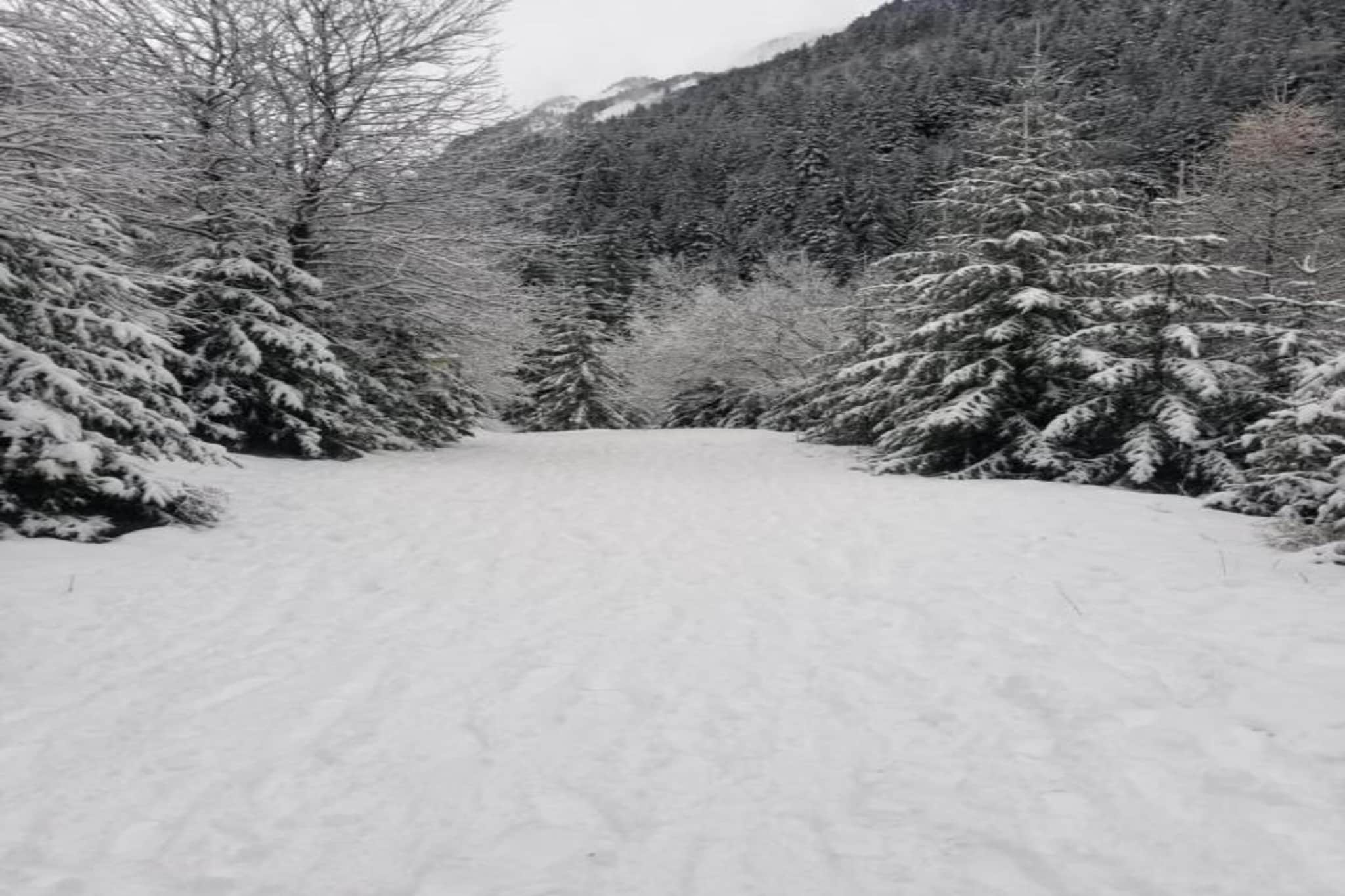 La Turra N°510 - 2P4-Gebied winter 20km