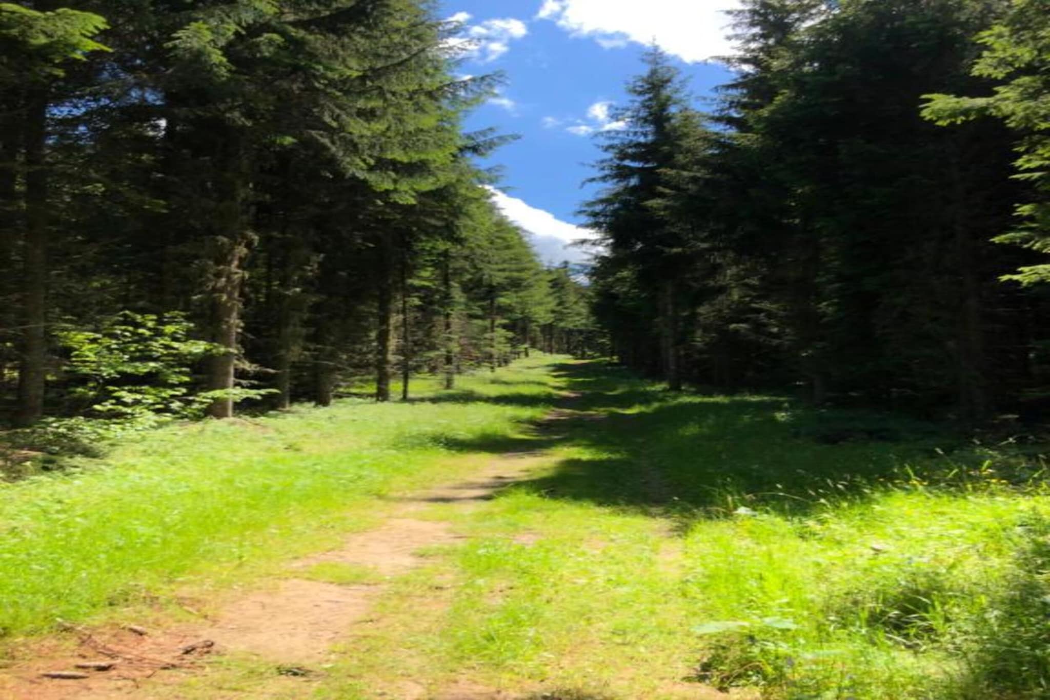 LES ARCADES A N°37 - 2P4-Gebieden zomer 5km