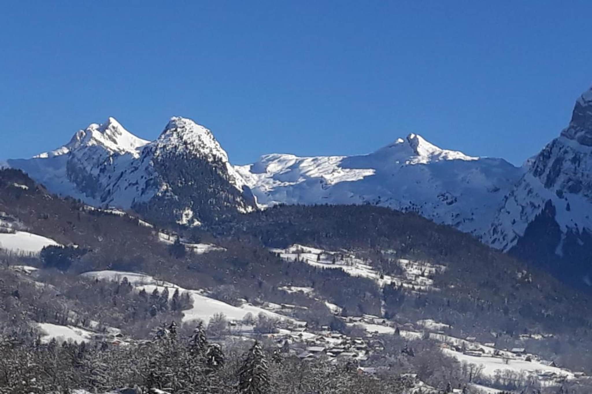 Residence des Neiges N°203 - 2P4-Gebied winter 20km