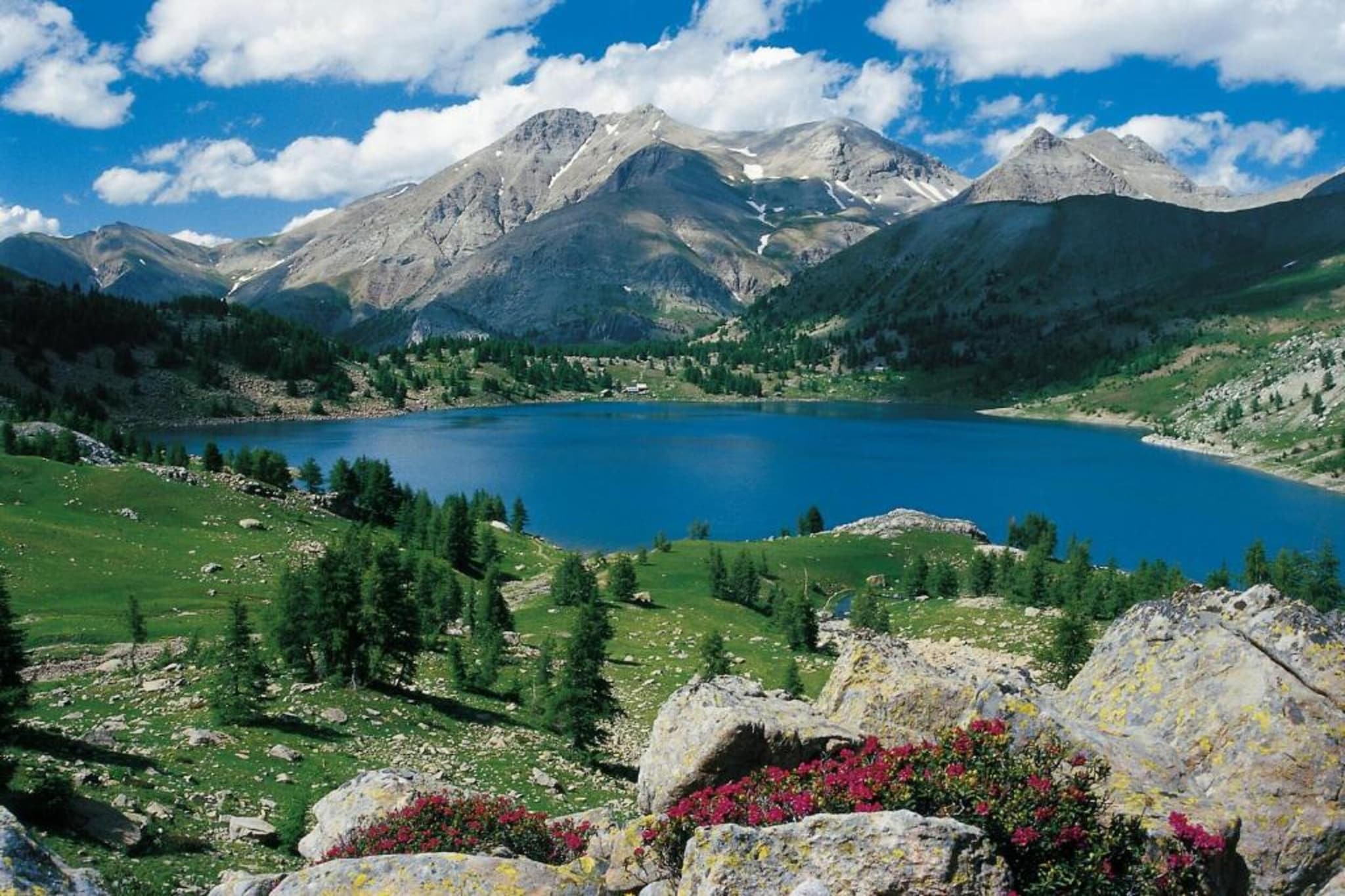 PETIT OURS II N°39 - ST4-Areas summer 20km