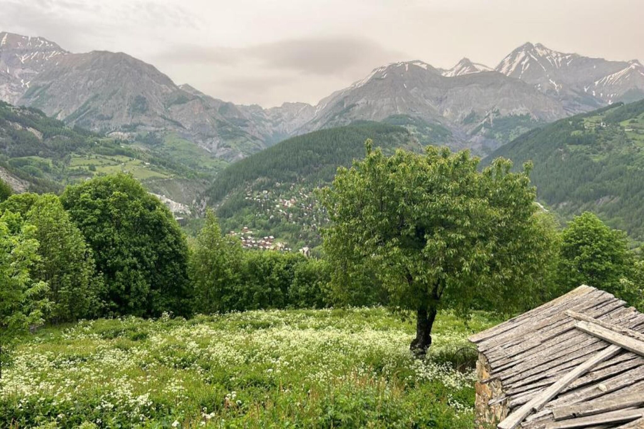 PETIT OURS II N°39 - ST4-Areas summer 20km