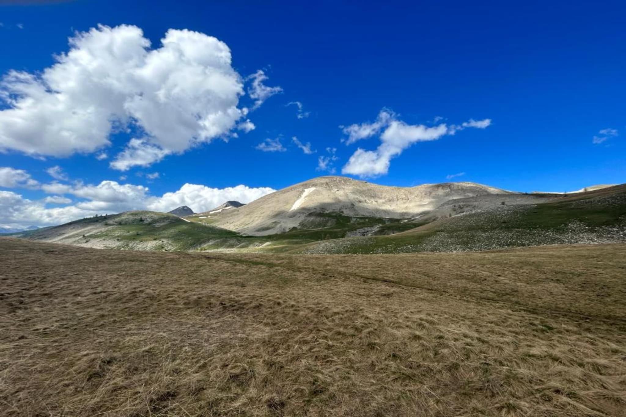 PETIT OURS II N°39 - ST4-Areas summer 20km