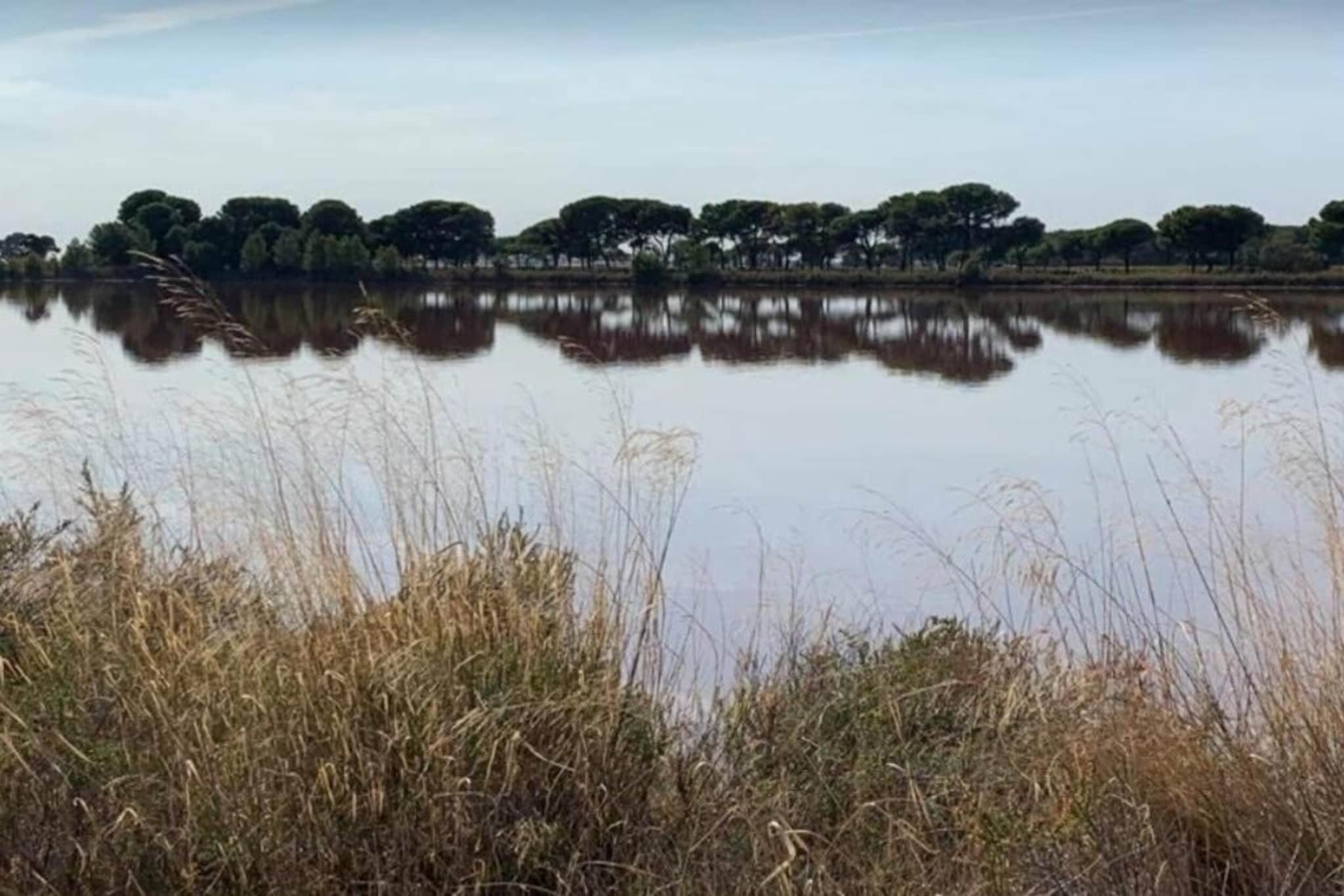 CAP CAMARGUE F N°123 - 3P7-Gebieden zomer 20km