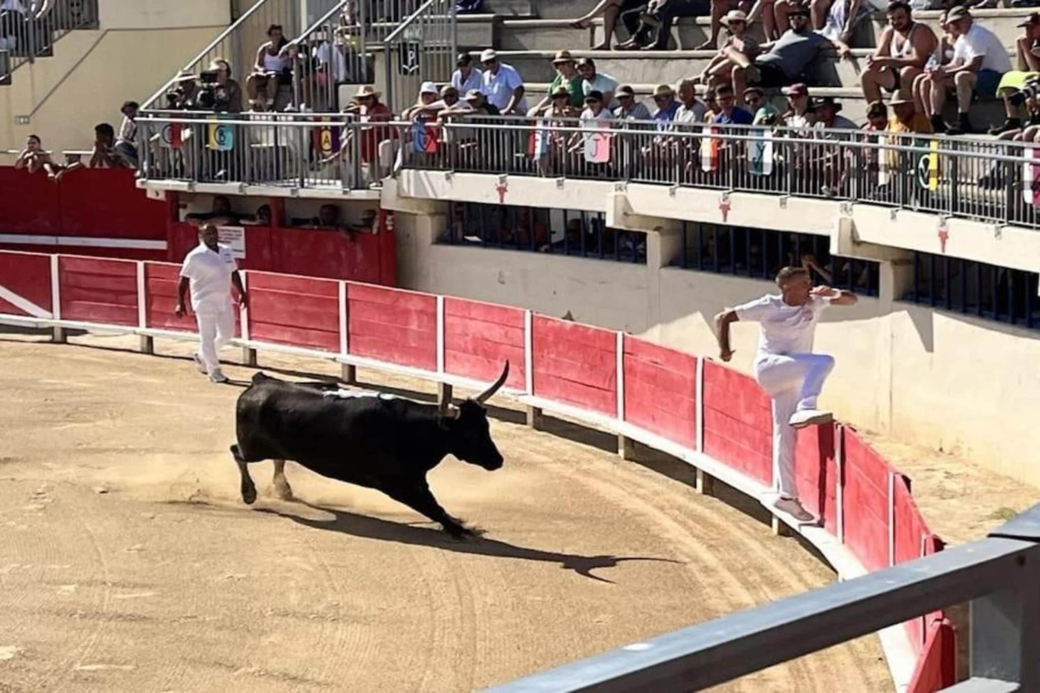 CAP CAMARGUE F N°123 - 3P7-Gebieden zomer 20km