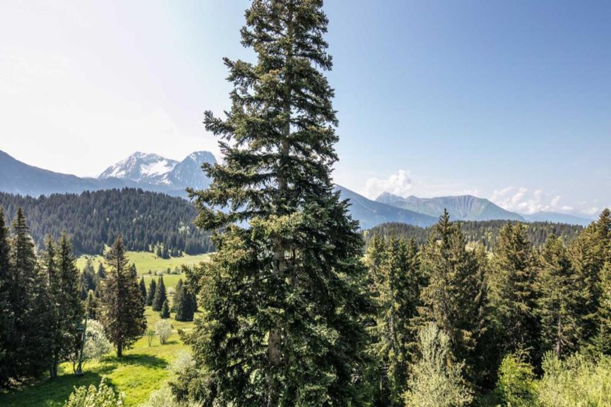 Les Marmottes N°311 - 2P6C-Gebieden zomer 5km