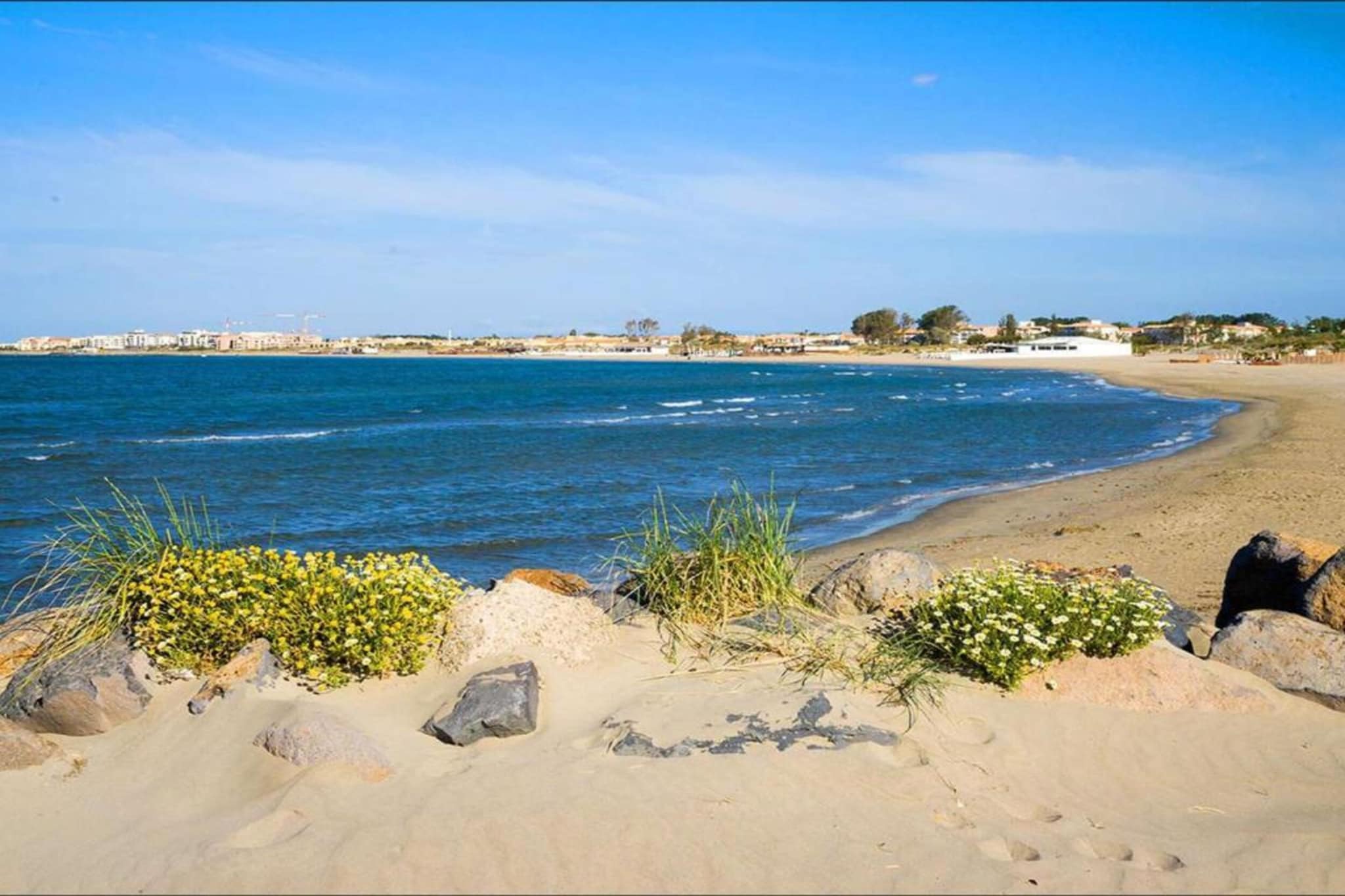 TERRASSE DE LA PLAGE N°211 - 2P4-Gebieden zomer 20km