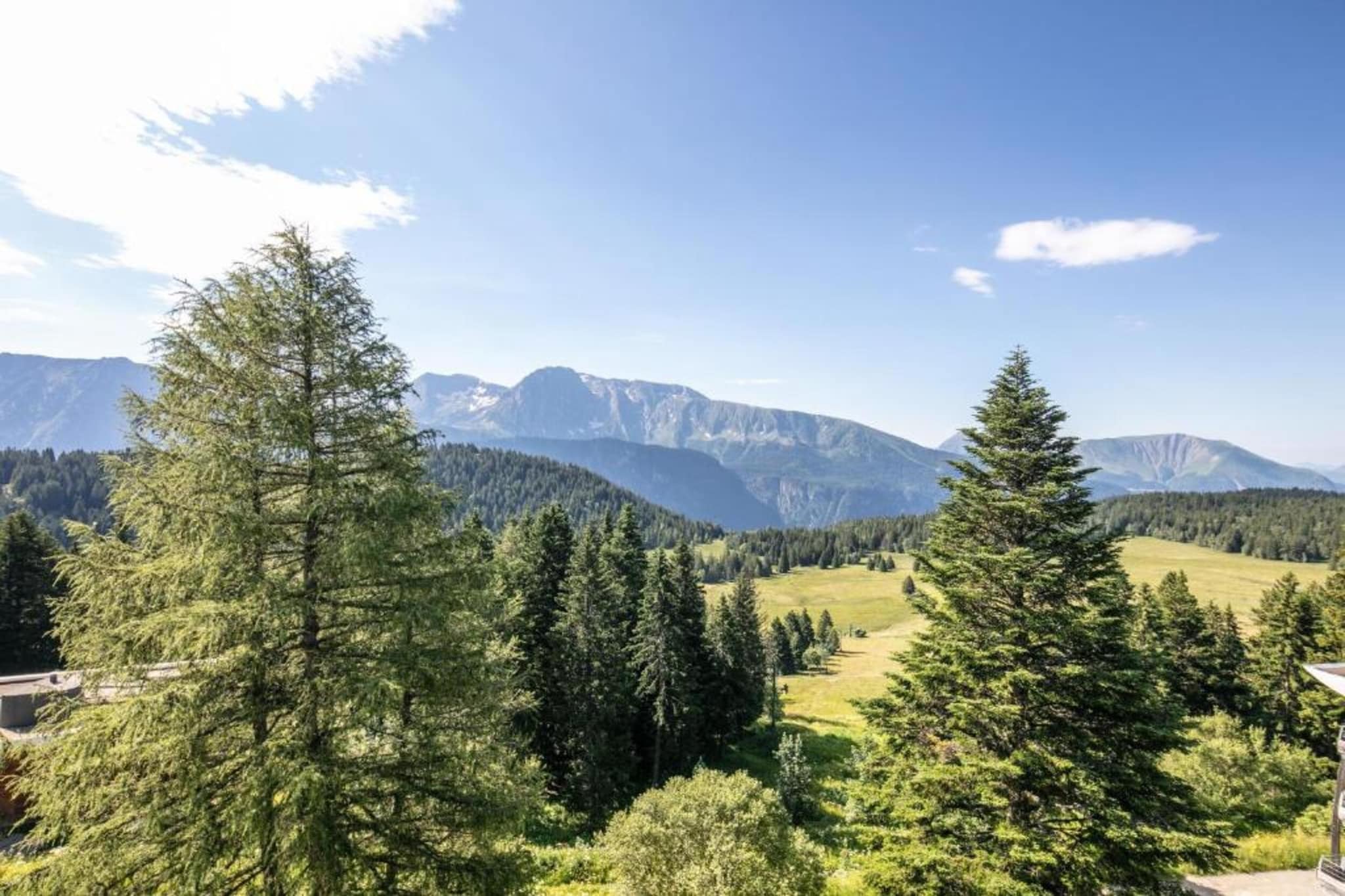 CHAMOIS N°304 - 2P4-Gebieden zomer 5km