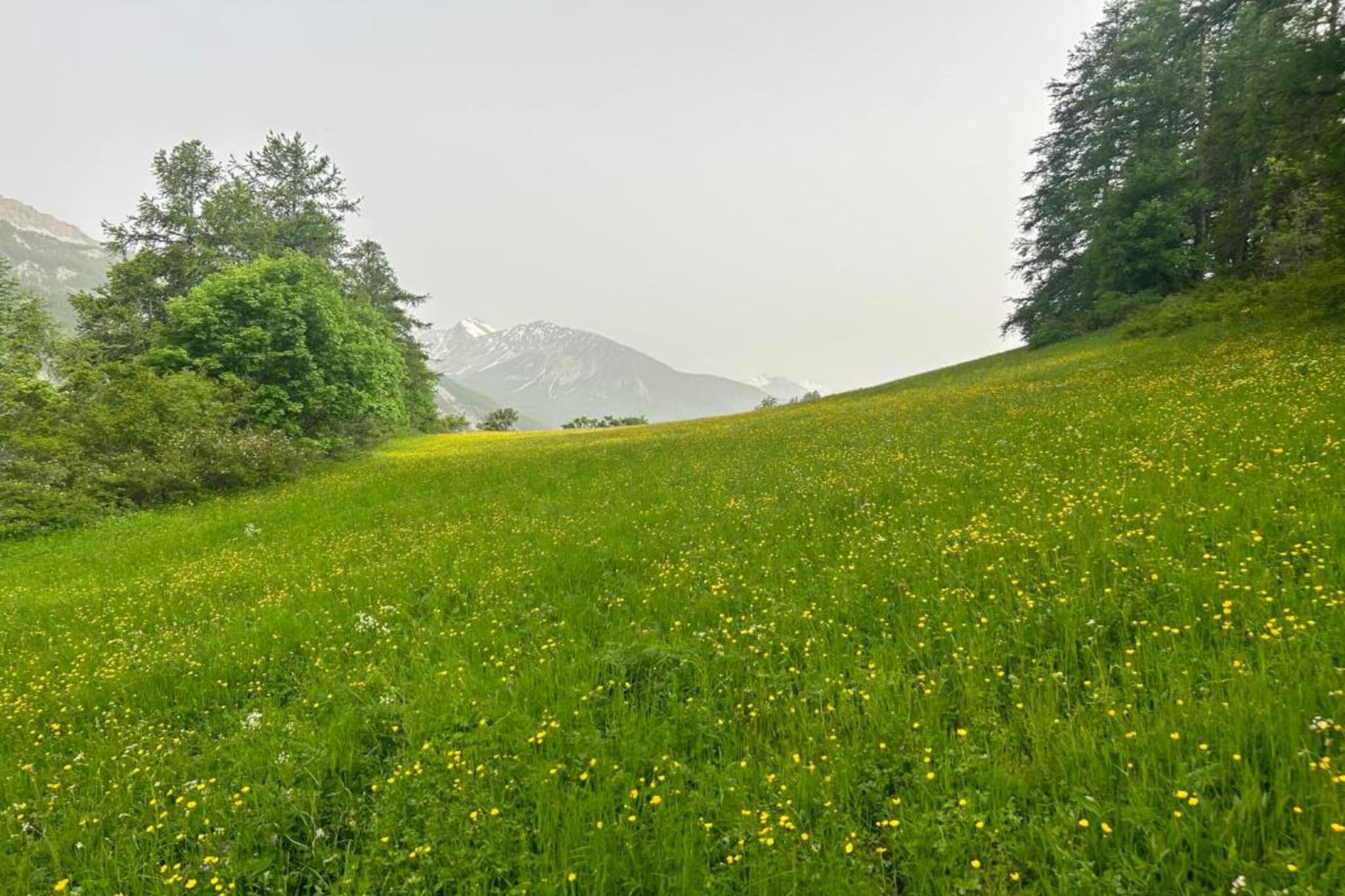 C. du Verdon N°2306 - 2P4-Gebieden zomer 20km