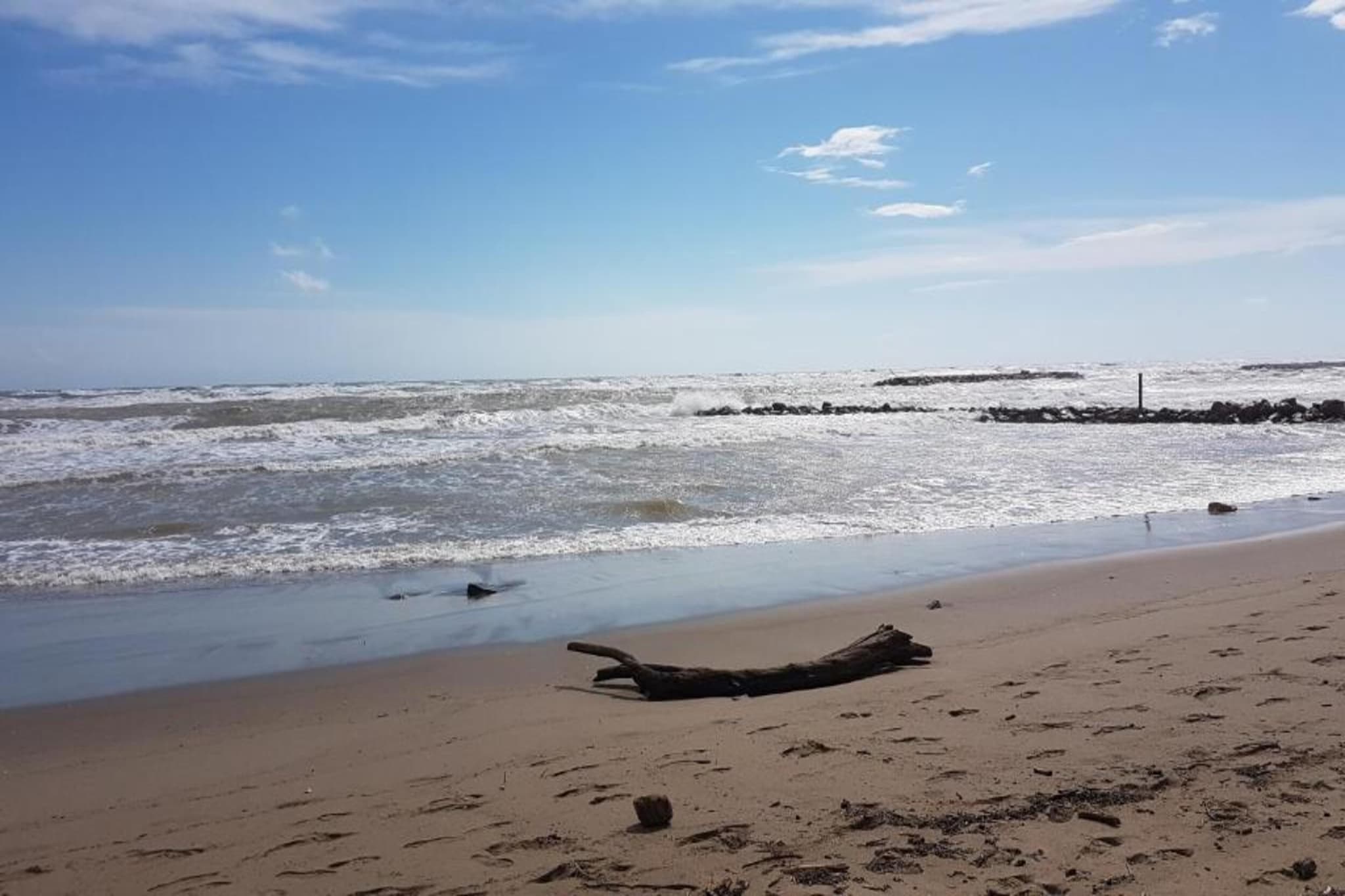 La Dune N°33 - Villa 2P4-Areas summer 1km