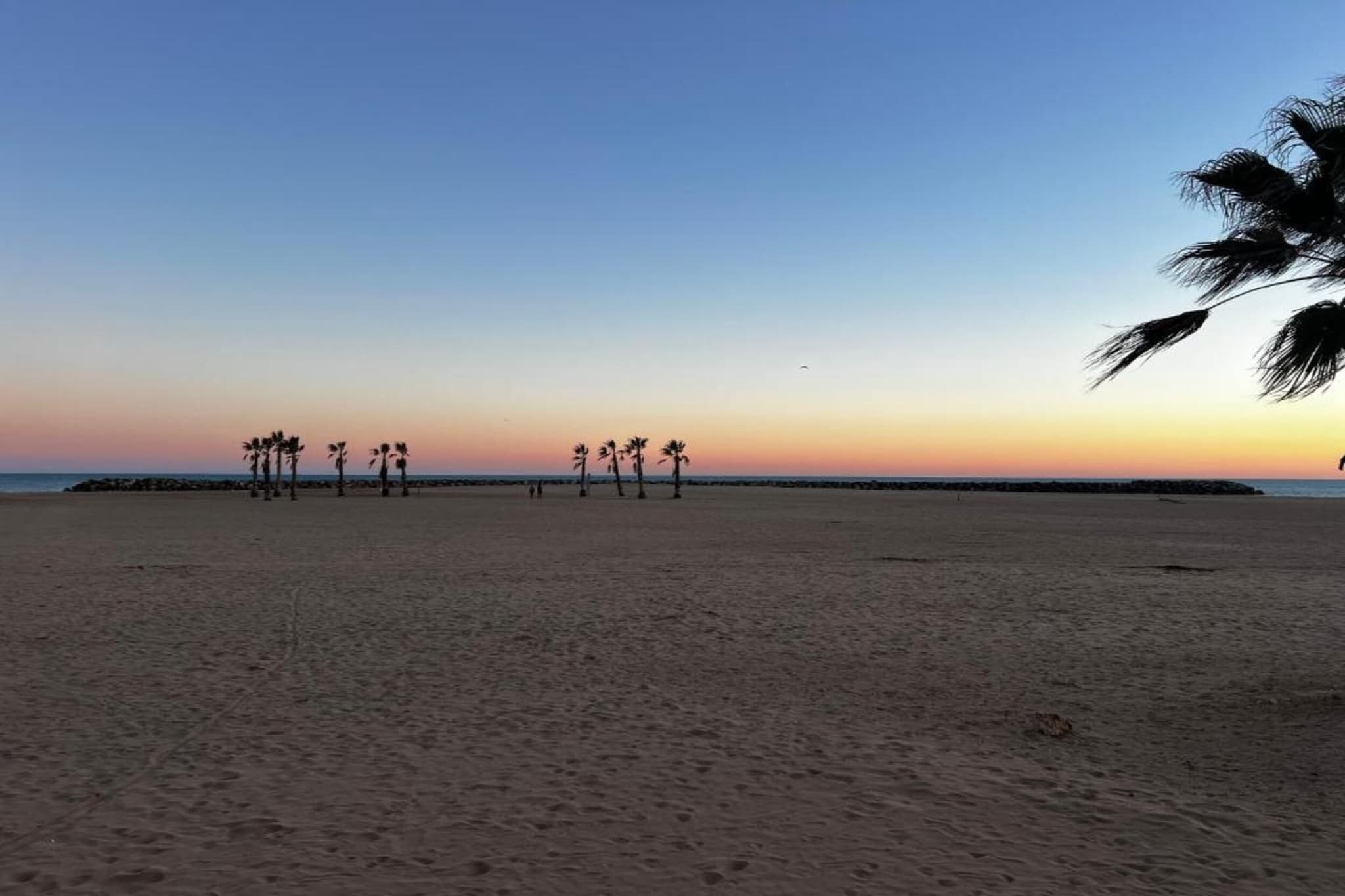 La Dune N°33 - Villa 2P4-Areas summer 1km