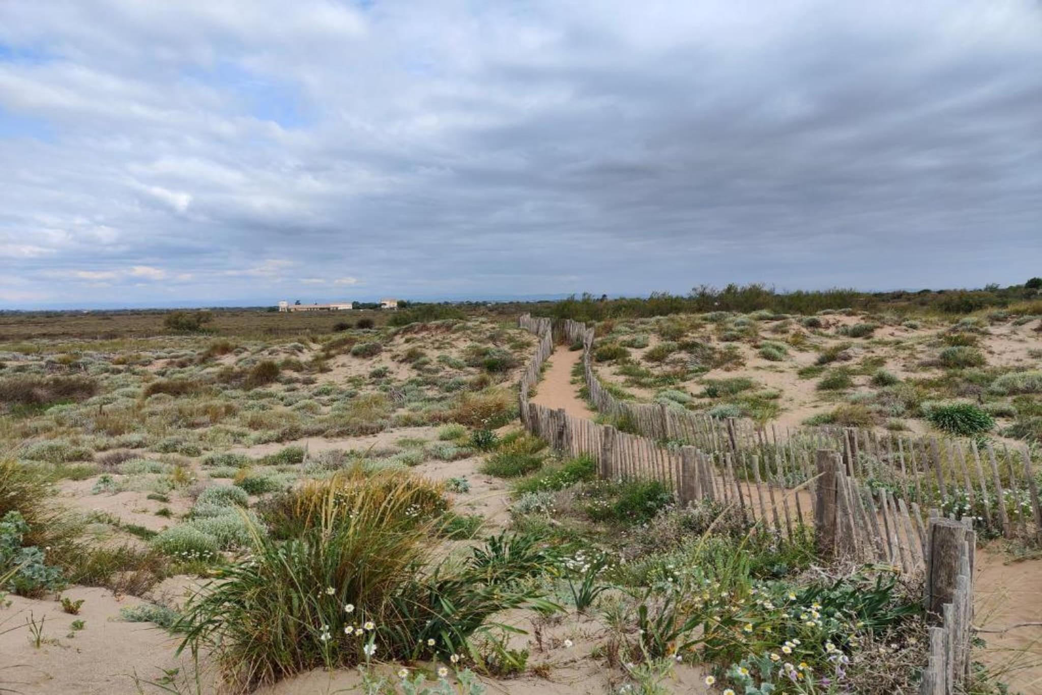 La Dune B N°203 - ST2-Gebieden zomer 5km