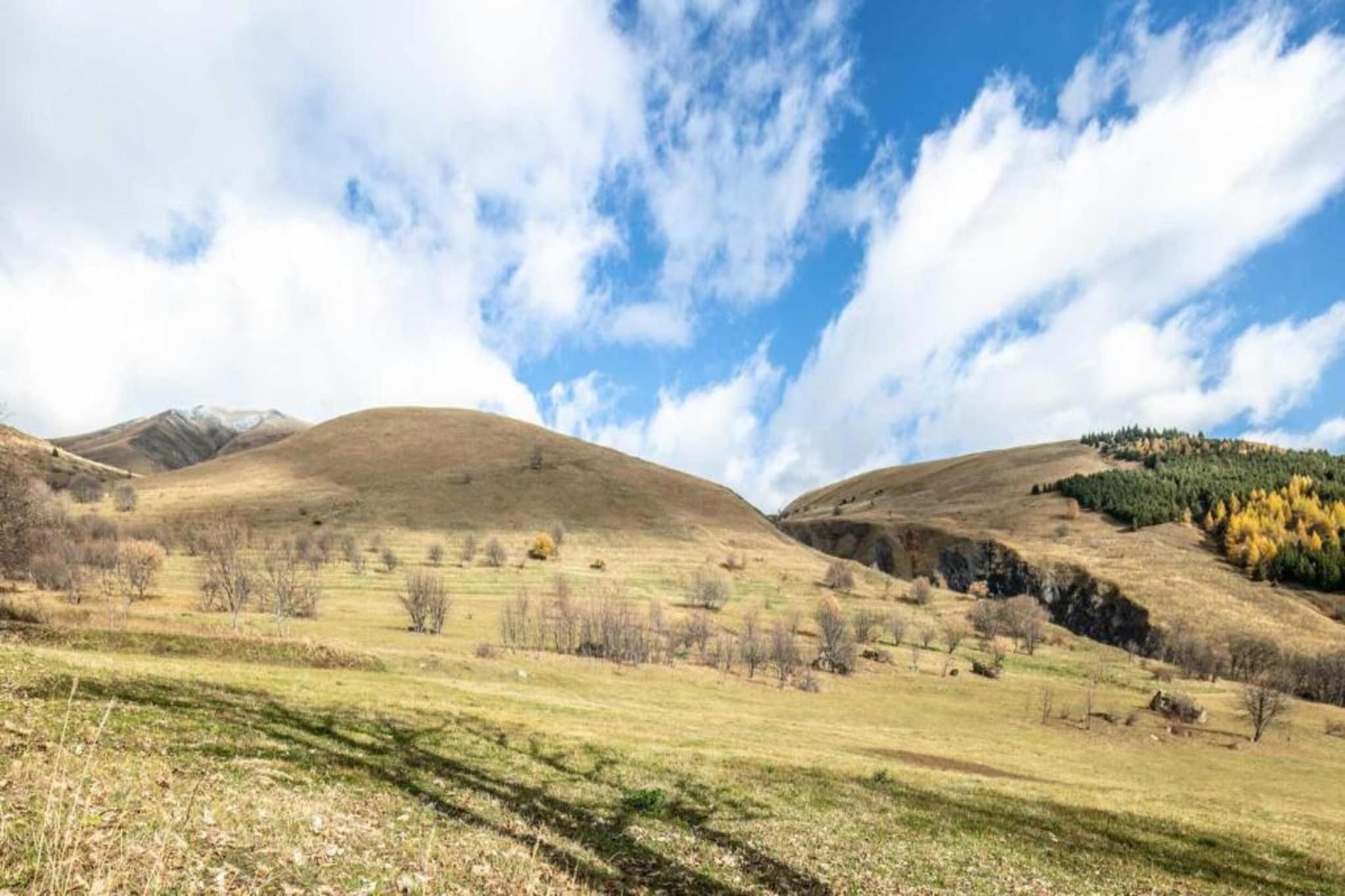 Fermes de ST Sorlin - LE FREZZIA  N°204 - 3P8-Gebieden zomer 20km