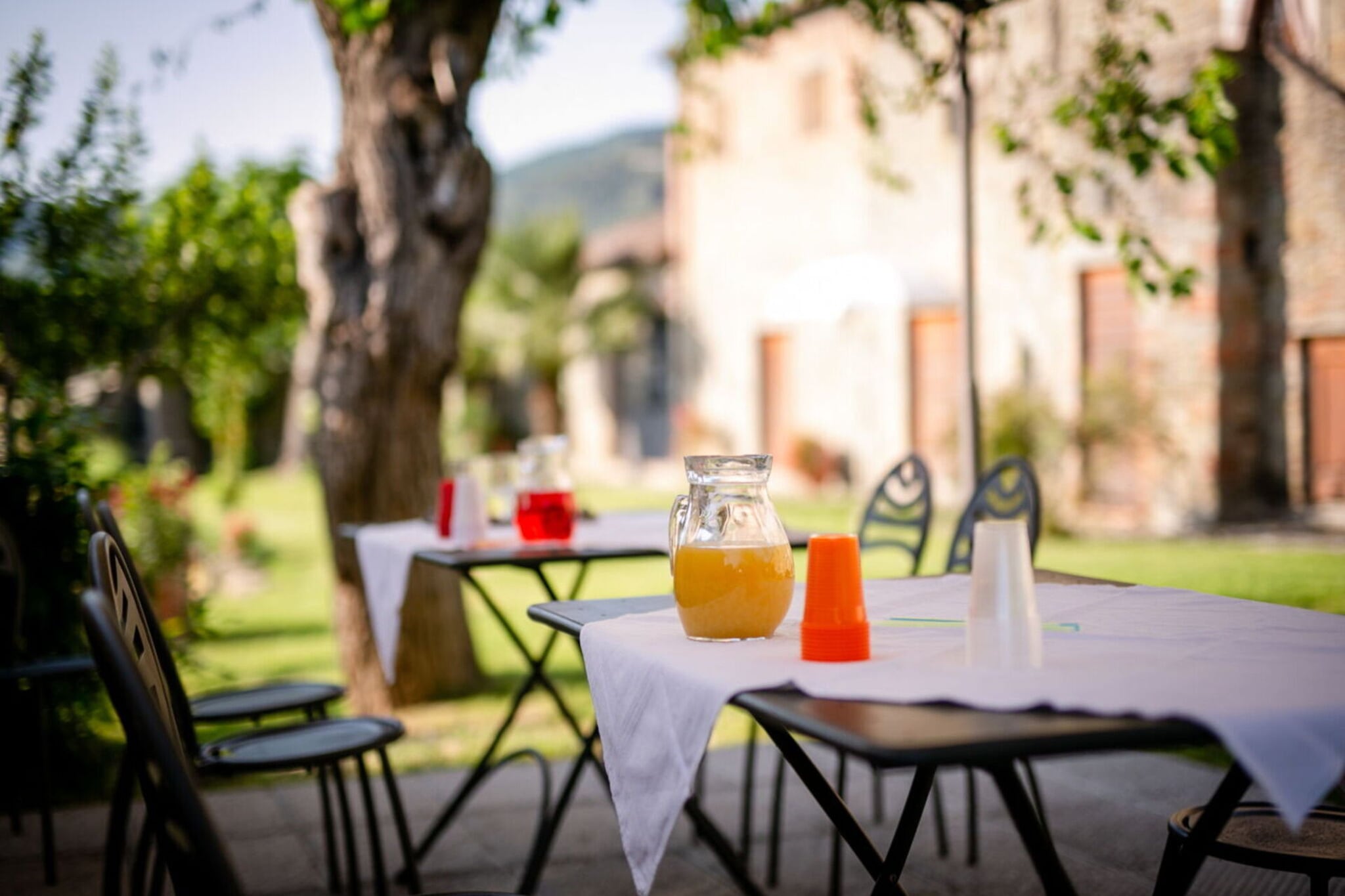 Villa il Gelso-Tuinen zomer