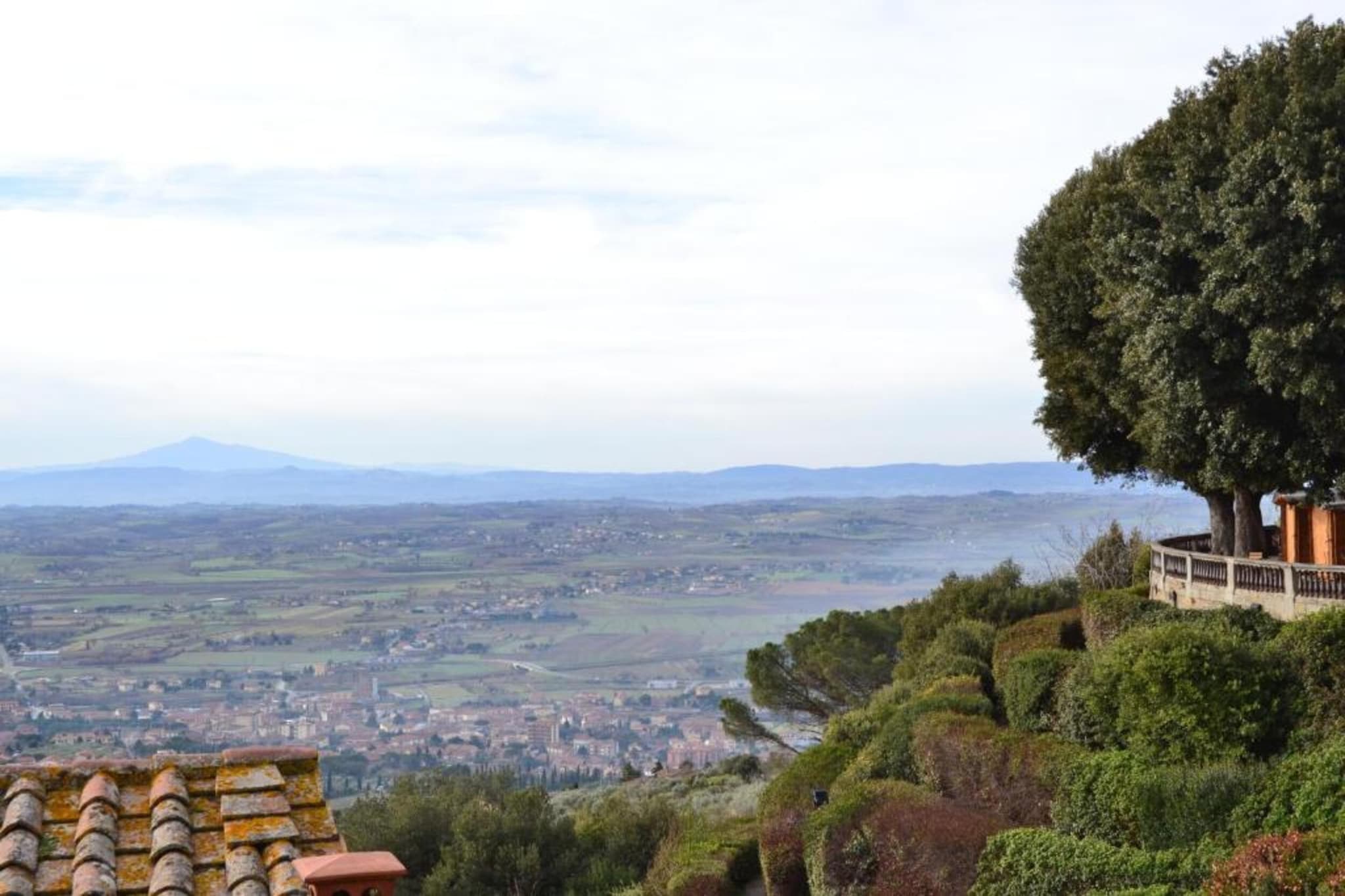 Orangerie degli Ulivi-Zones d'été à 5 km