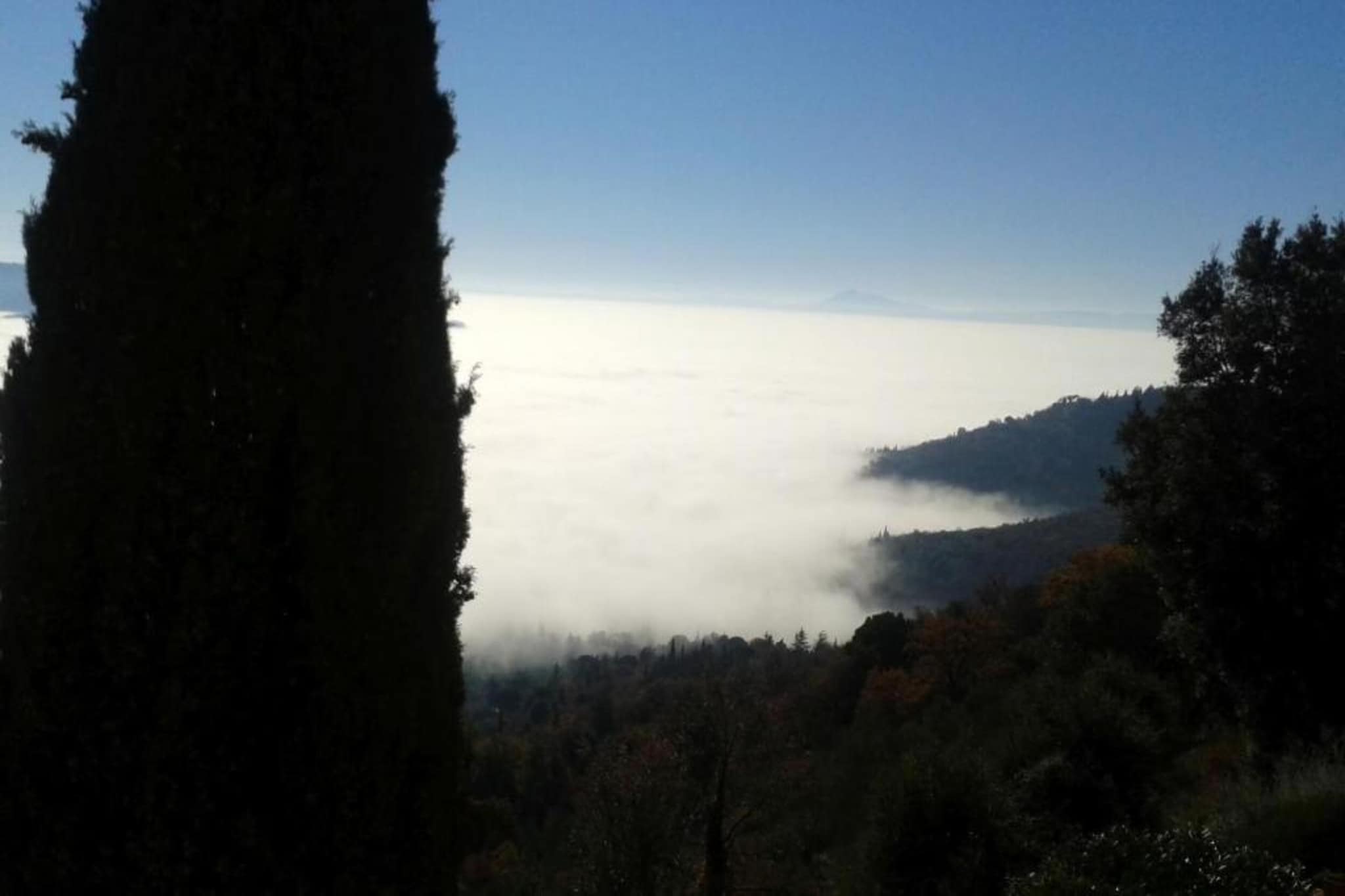 Orangerie degli Ulivi-Zones d'été à 5 km